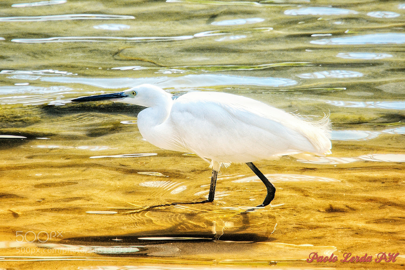 Nikon D7100 sample photo. Untitled photography