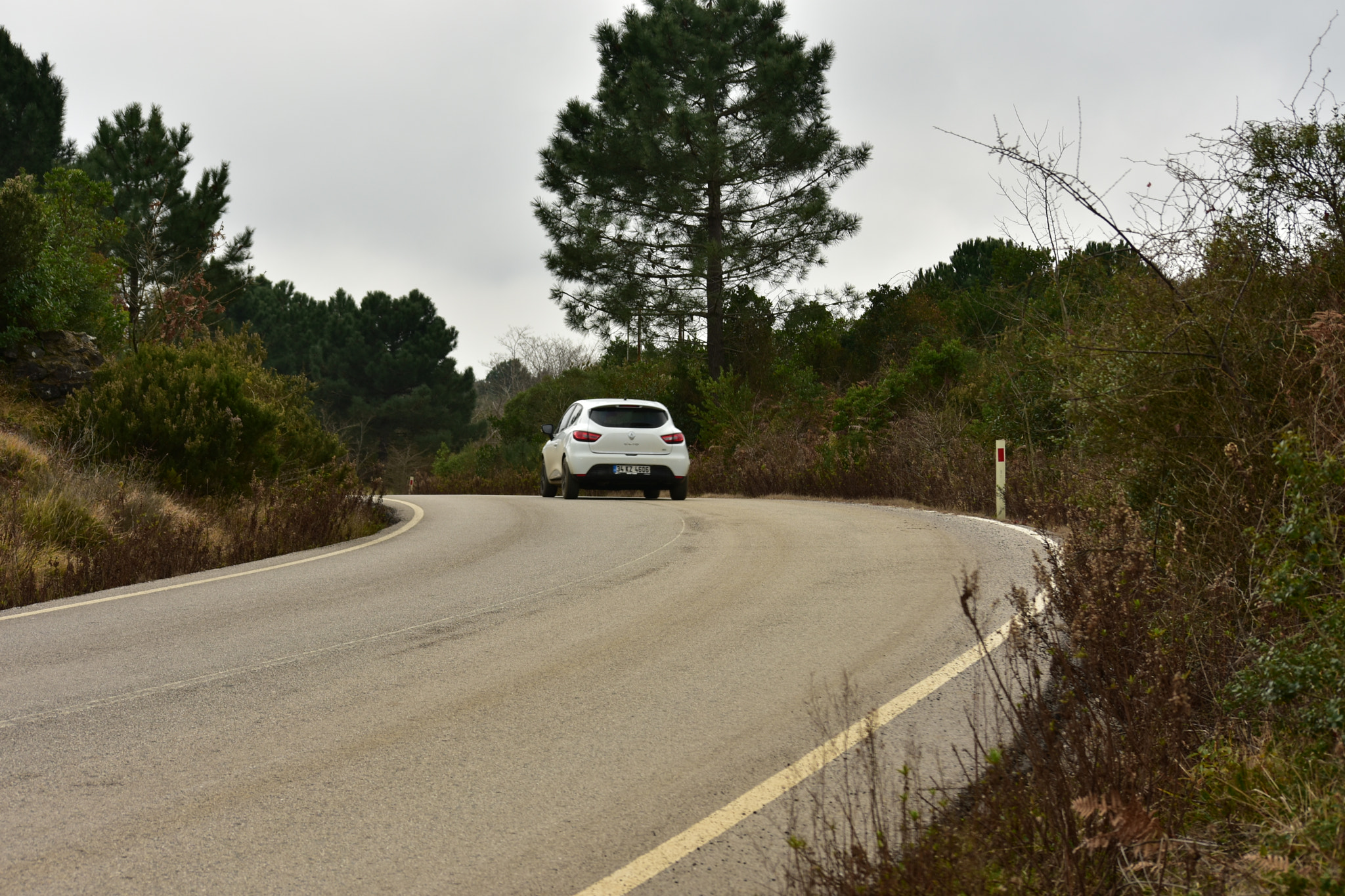 Nikon D7200 sample photo. Yollar... photography