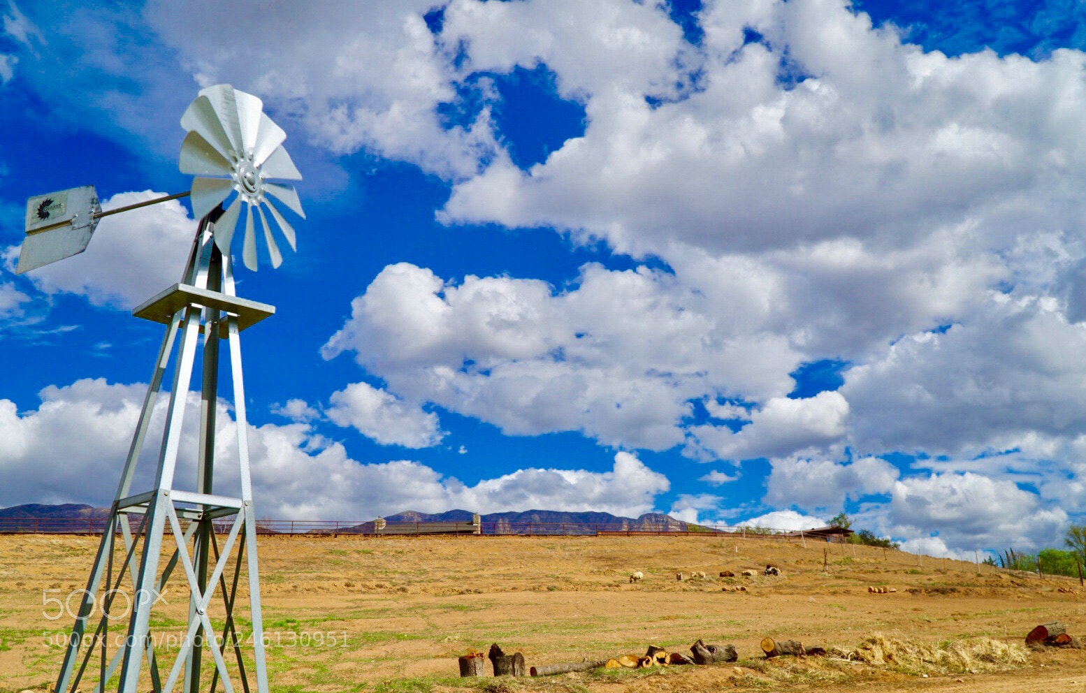Sony a6300 sample photo. Ranch days photography