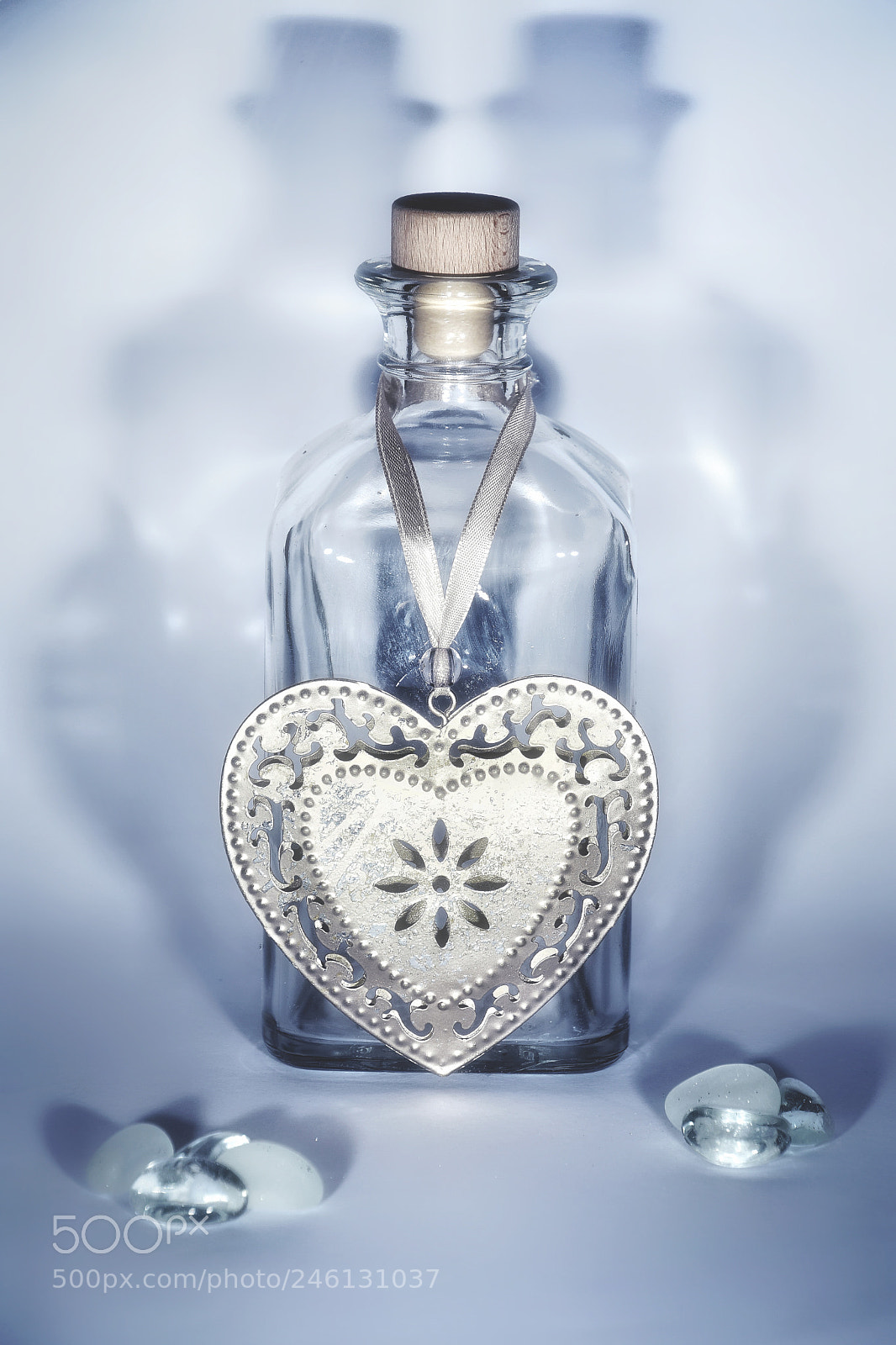Nikon D500 sample photo. Valentinesday photography