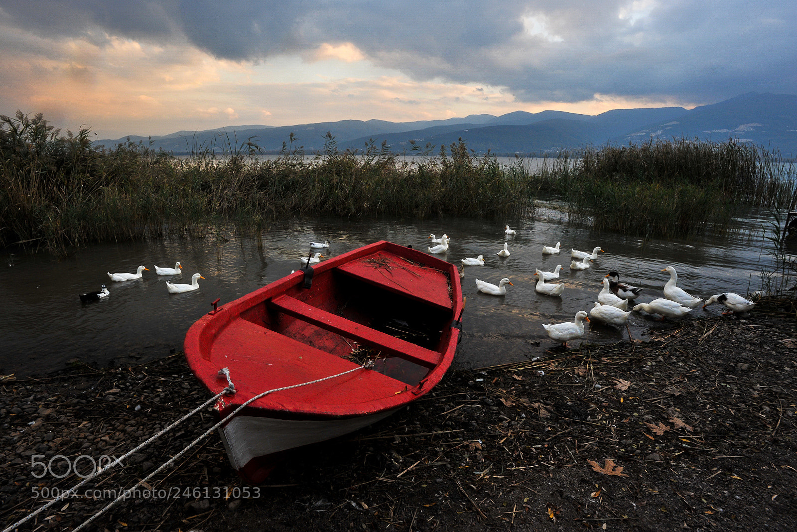 Nikon D3 sample photo. Lake sapanca photography