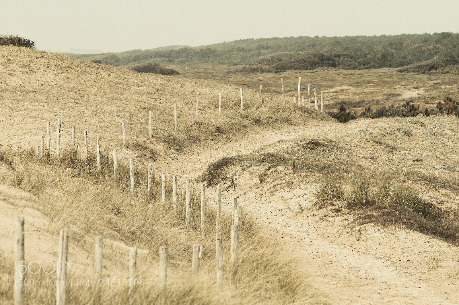 Canon EOS 7D sample photo. Dune photography