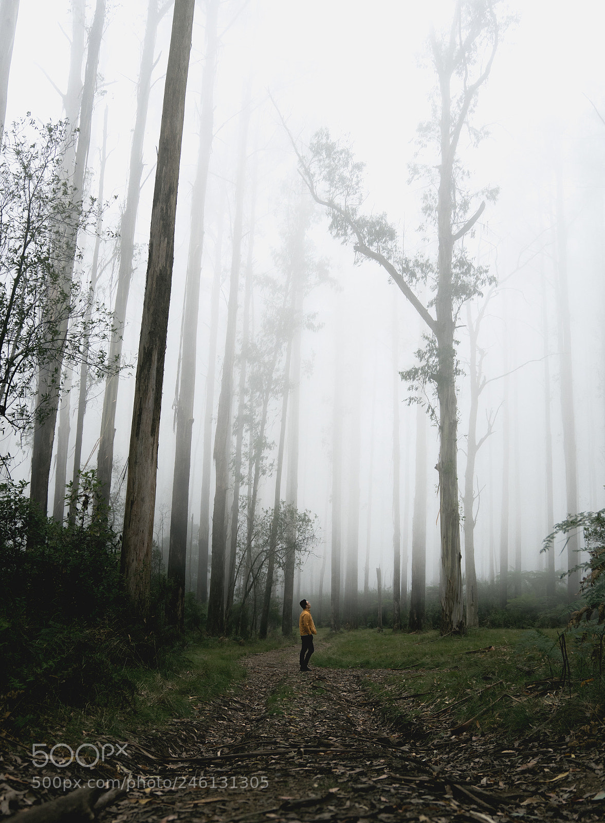 Sony a7 II sample photo. Lost photography