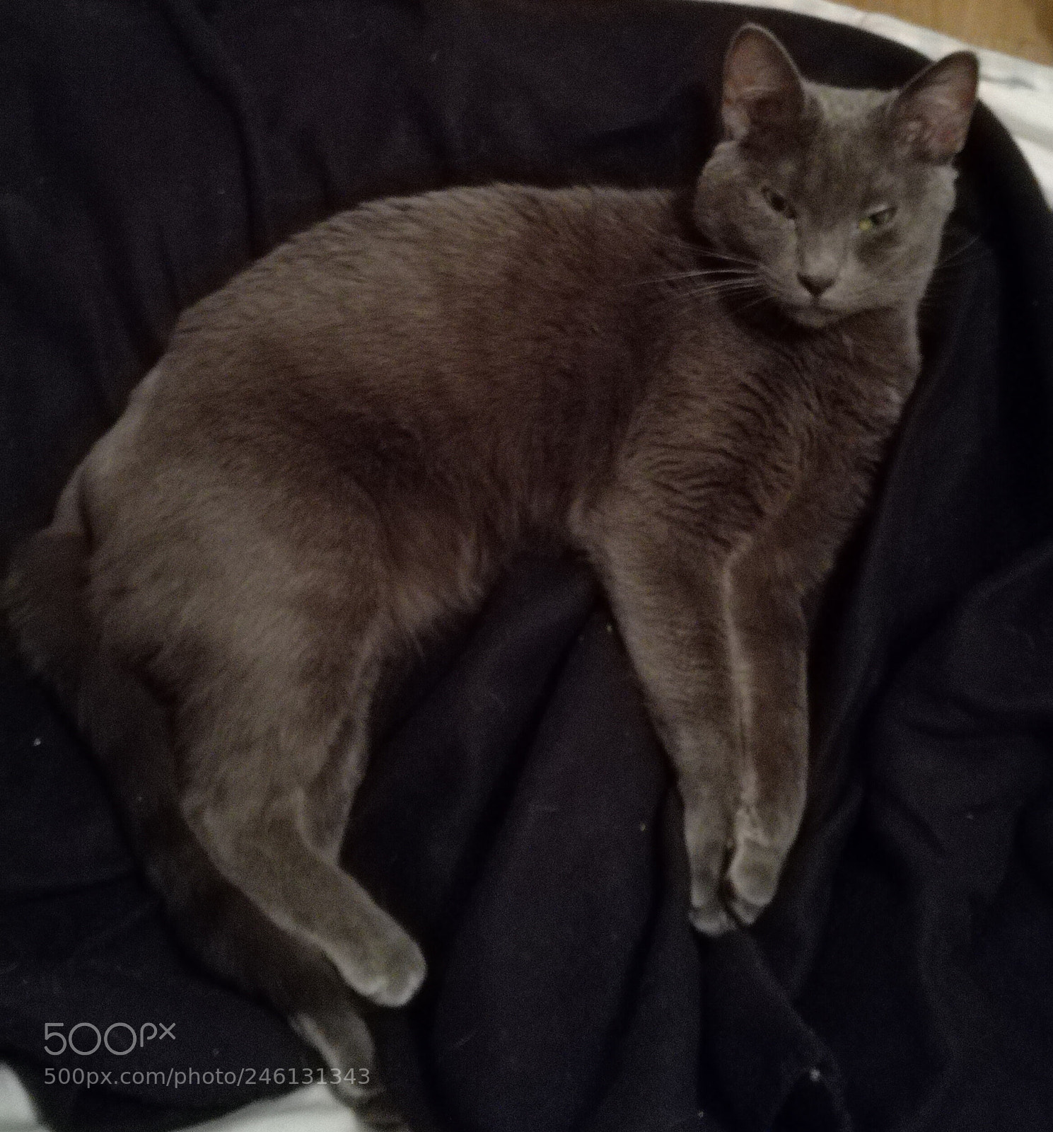 HUAWEI P9 LITE sample photo. Sunny photography
