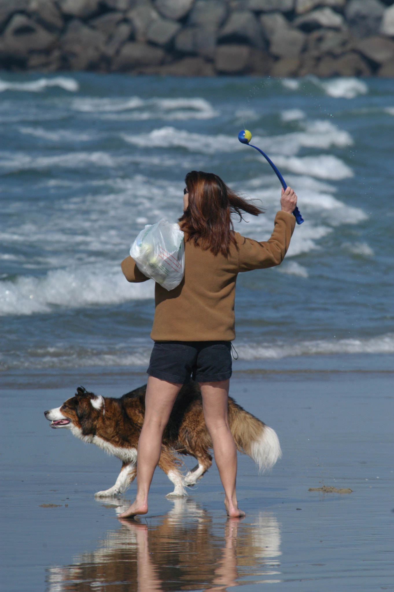 Nikon D100 sample photo. Dog beach photography