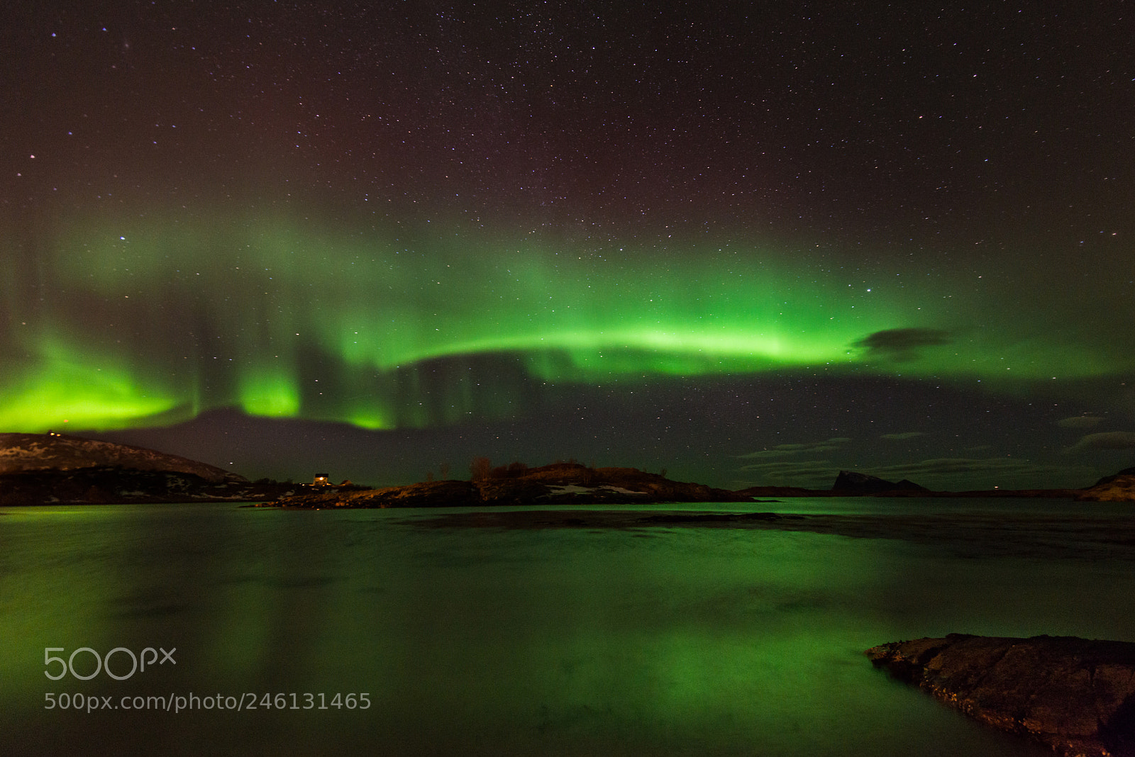 Nikon D800 sample photo. Northern lights in tromso photography