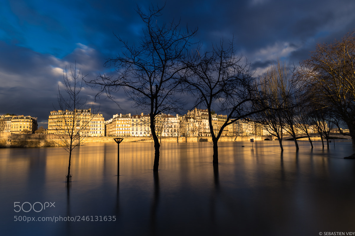 Canon EOS 6D Mark II sample photo. Paris photography