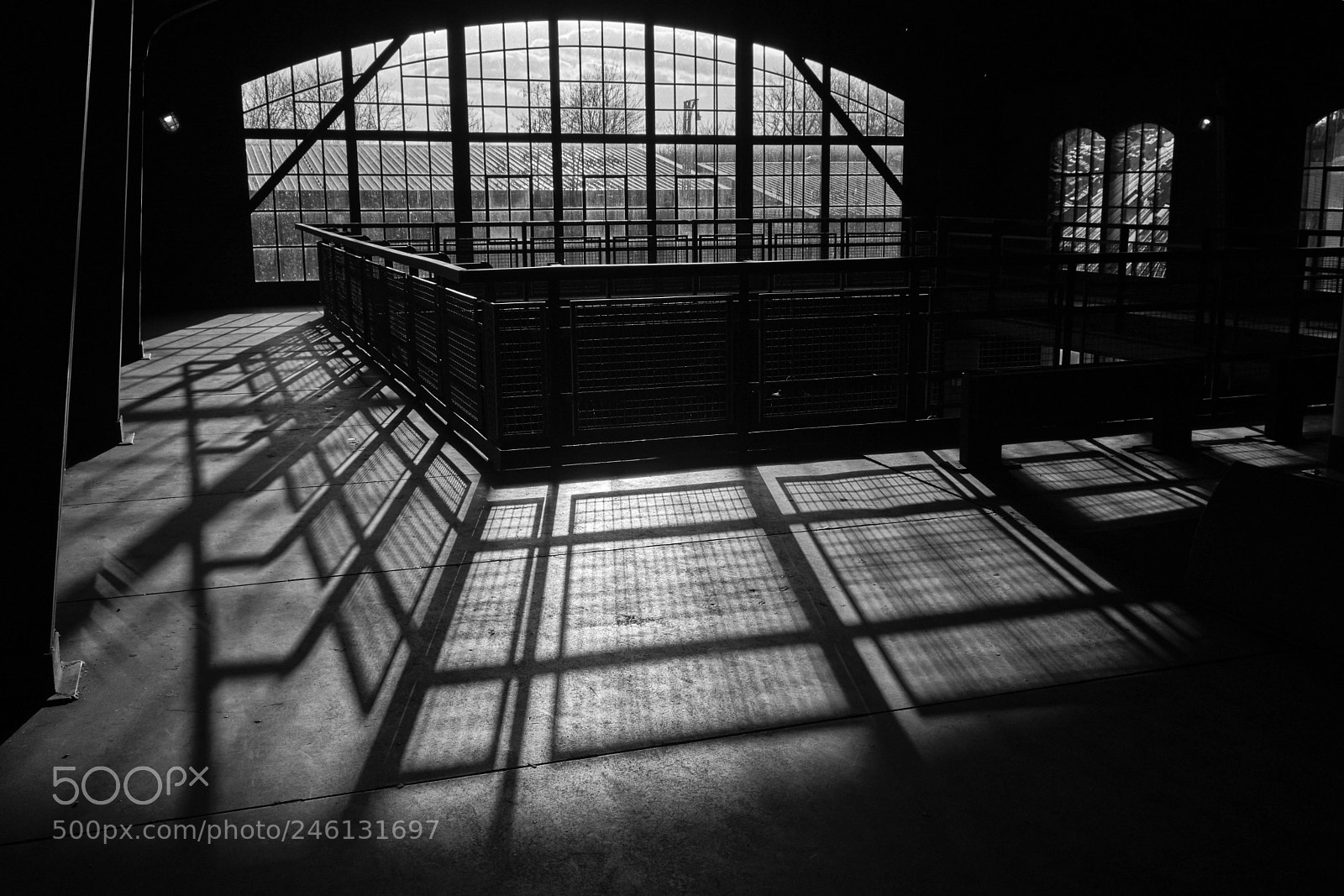 Fujifilm X-T2 sample photo. Backlight and shadows photography