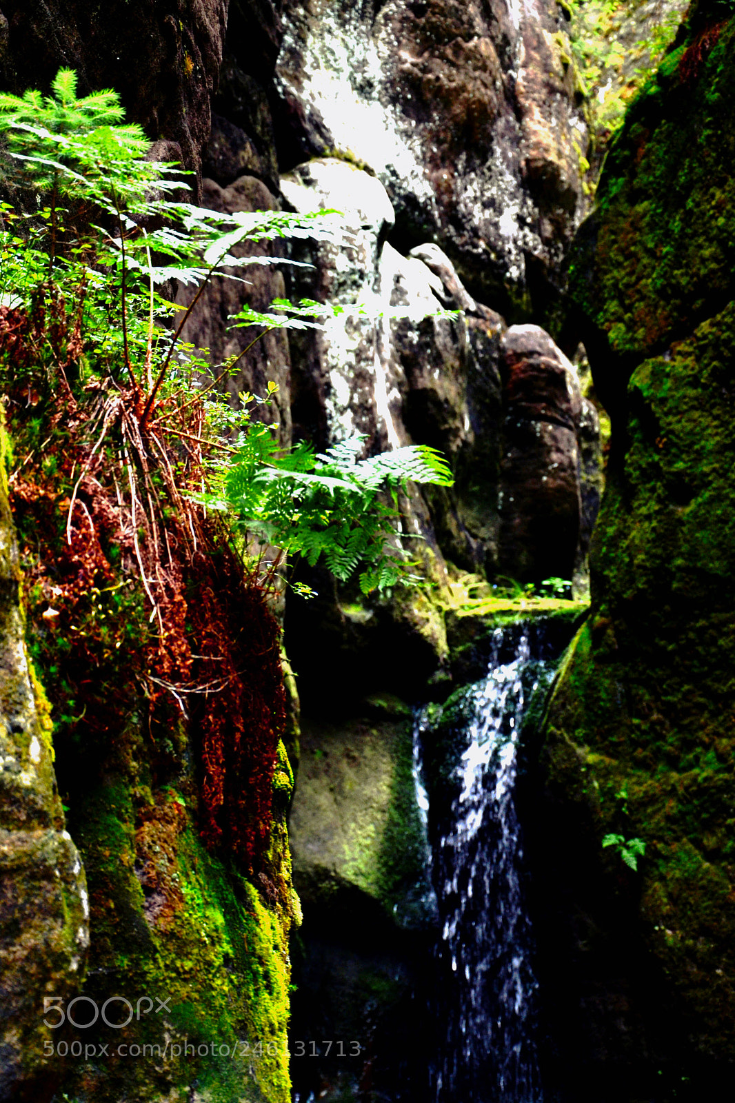 Nikon D3100 sample photo. Untitled photography