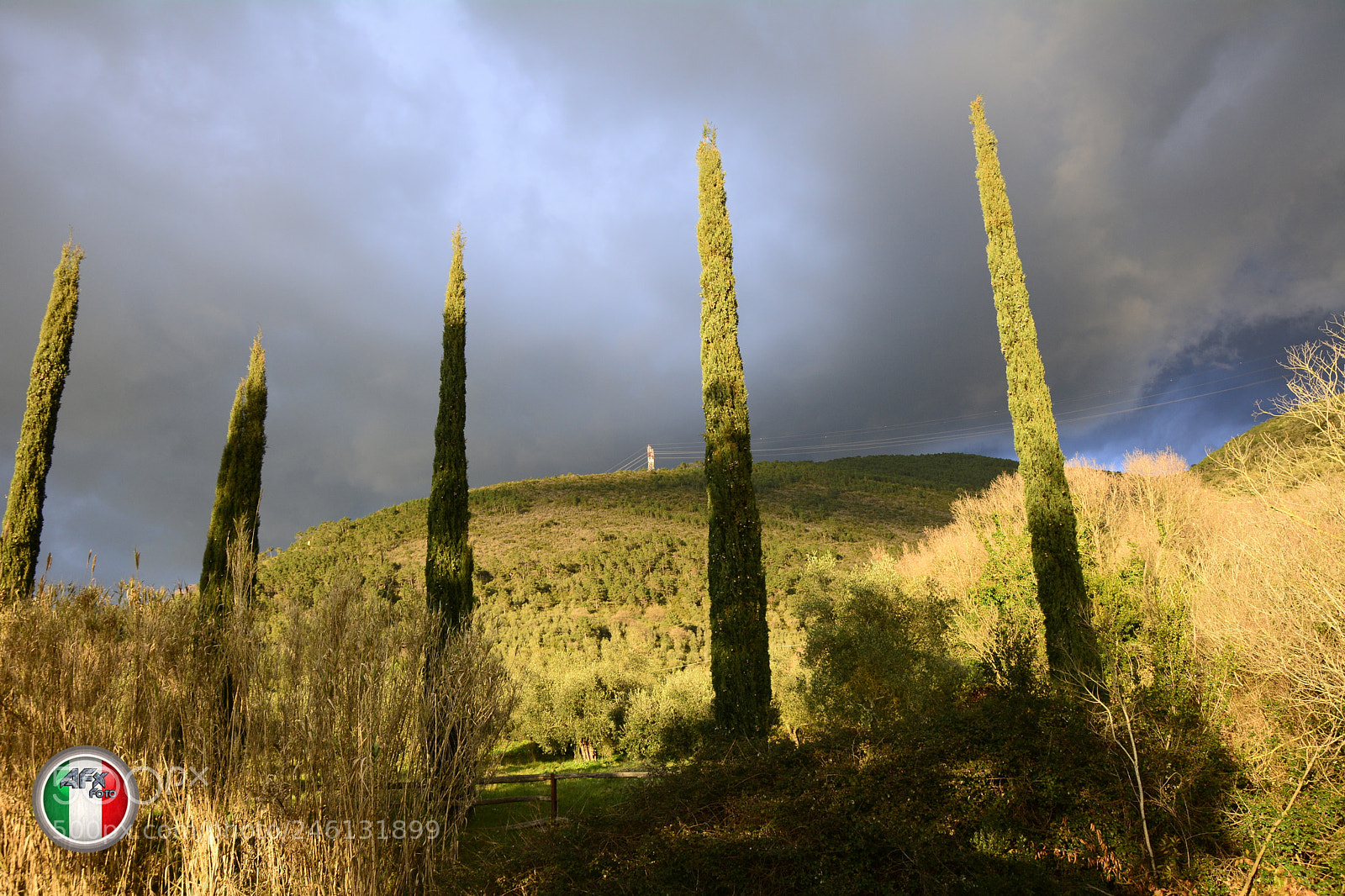 Nikon D7100 sample photo. I cipressi photography