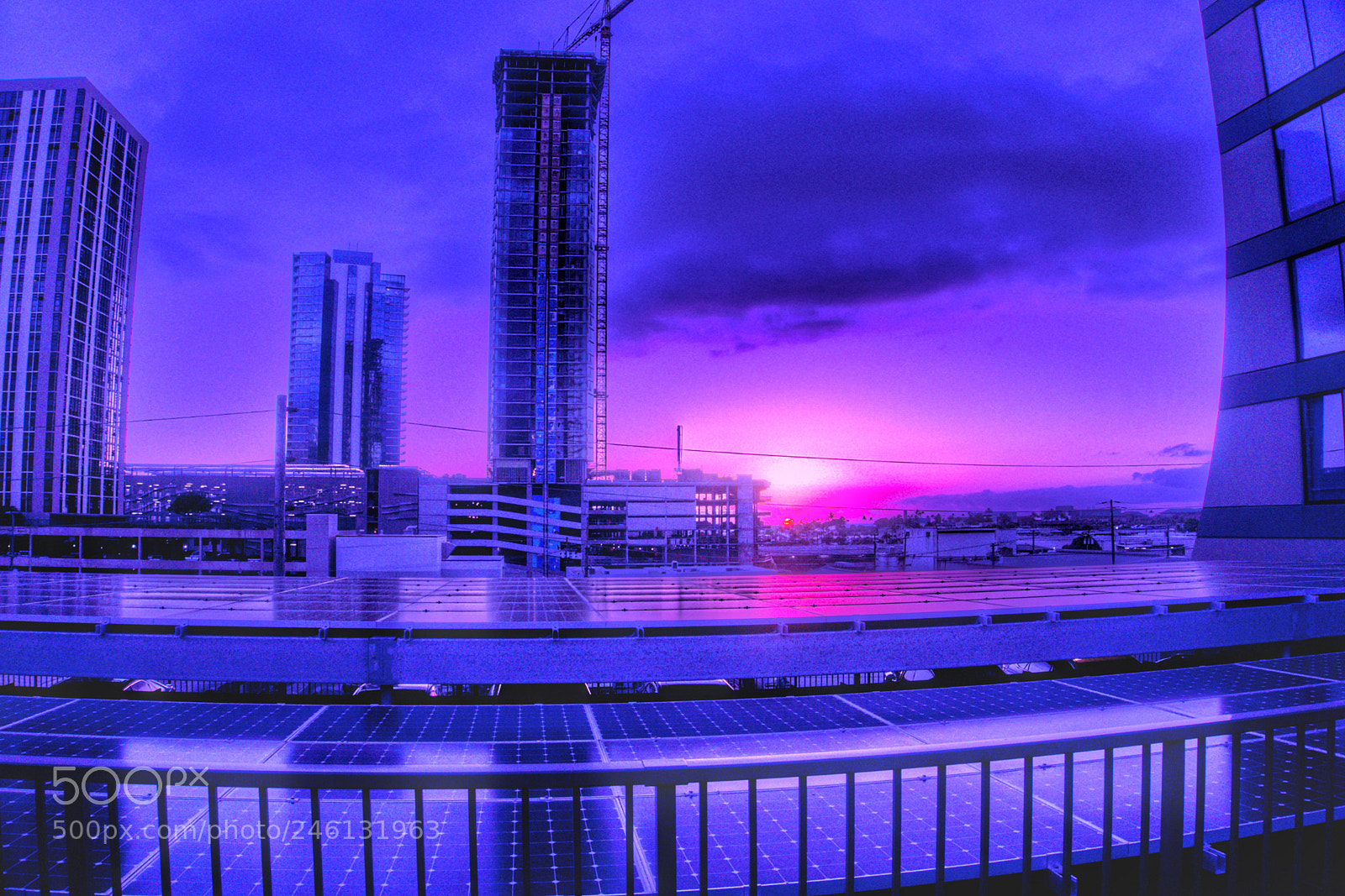 Sony a6300 sample photo. The future is purple... photography