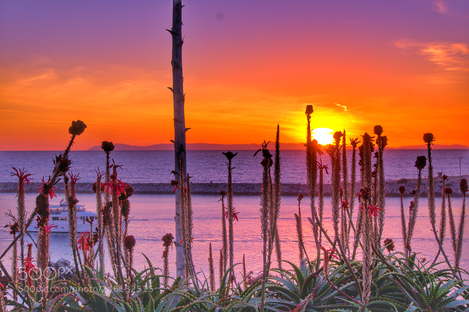 Sony a6300 sample photo. Aloe sunset photography