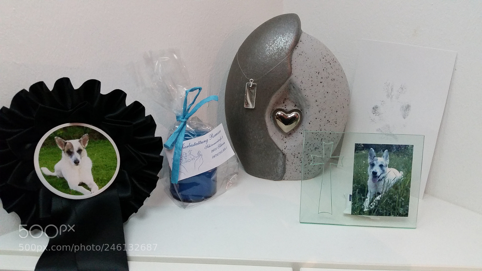 Samsung Galaxy S5 sample photo. Nikita + 29.11.2017 - urne photography