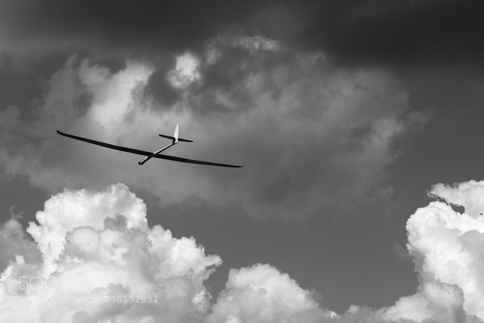 Sony SLT-A58 sample photo. Glider in b&w photography