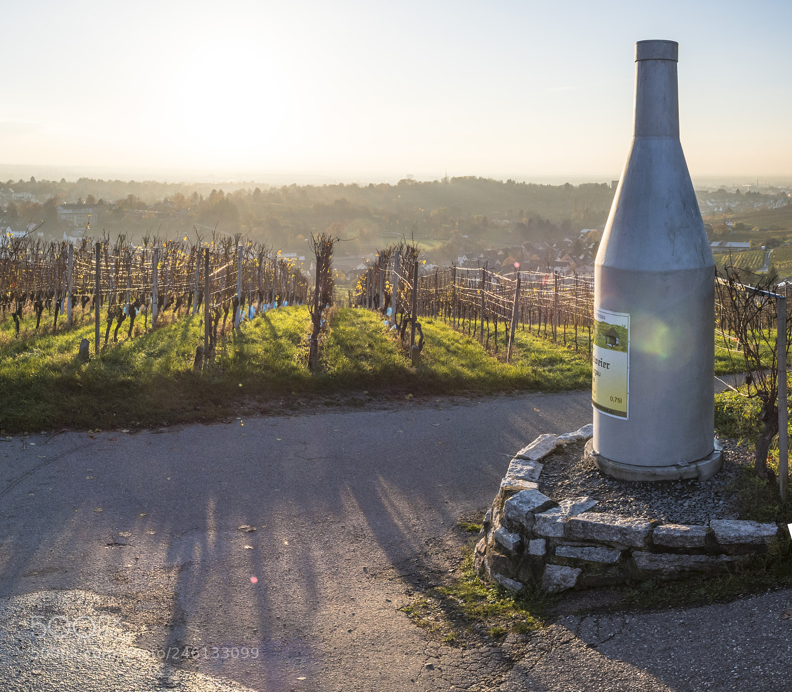 Nikon D500 sample photo. Bottle of wine photography