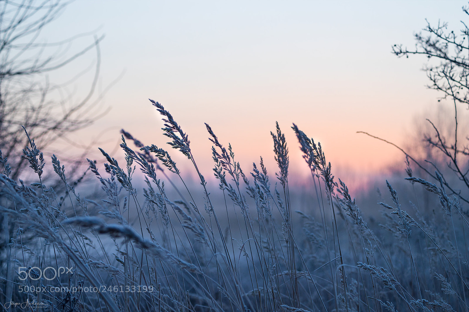 Canon EOS 6D Mark II sample photo. Untitled photography