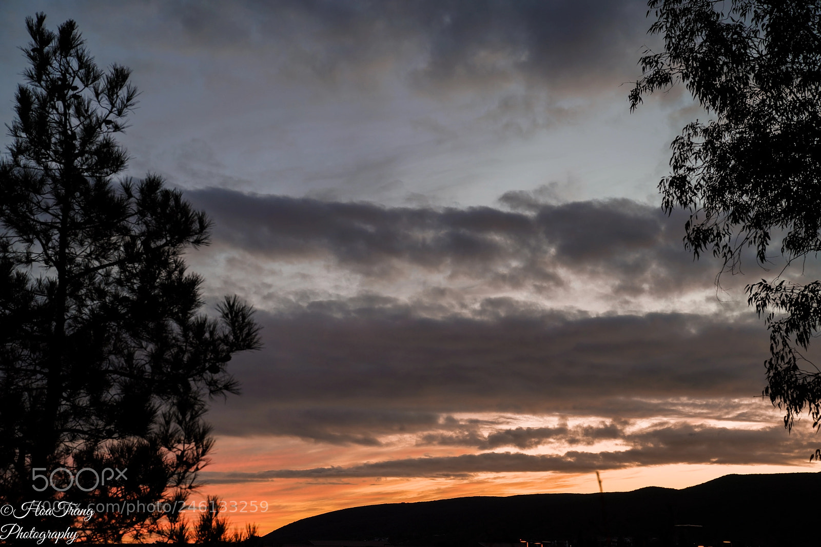Sony a7R III sample photo. Beautiful sunset photography