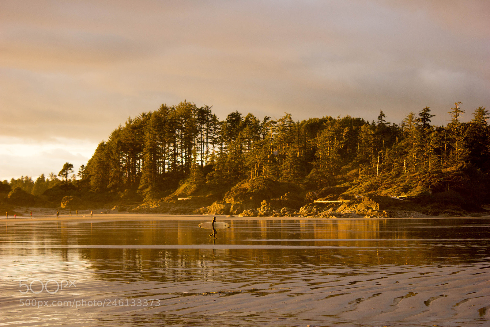 Canon EOS 600D (Rebel EOS T3i / EOS Kiss X5) sample photo. West coast vibes photography