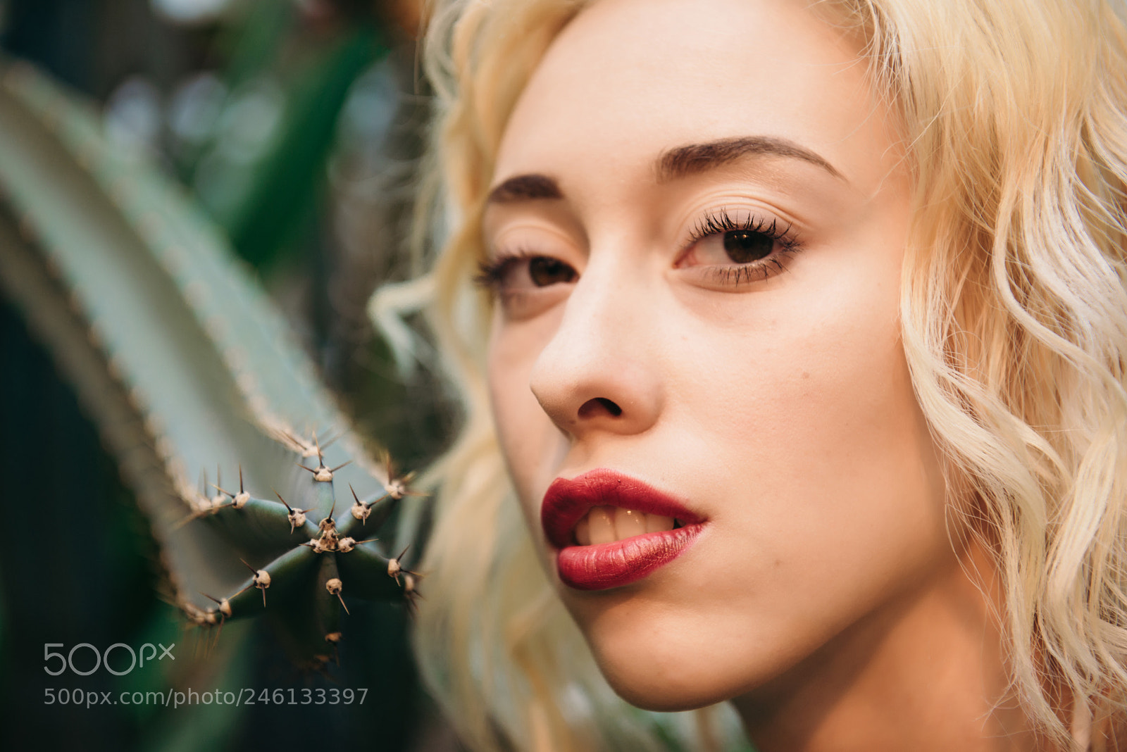 Nikon D600 sample photo. Closeup portrait of young photography