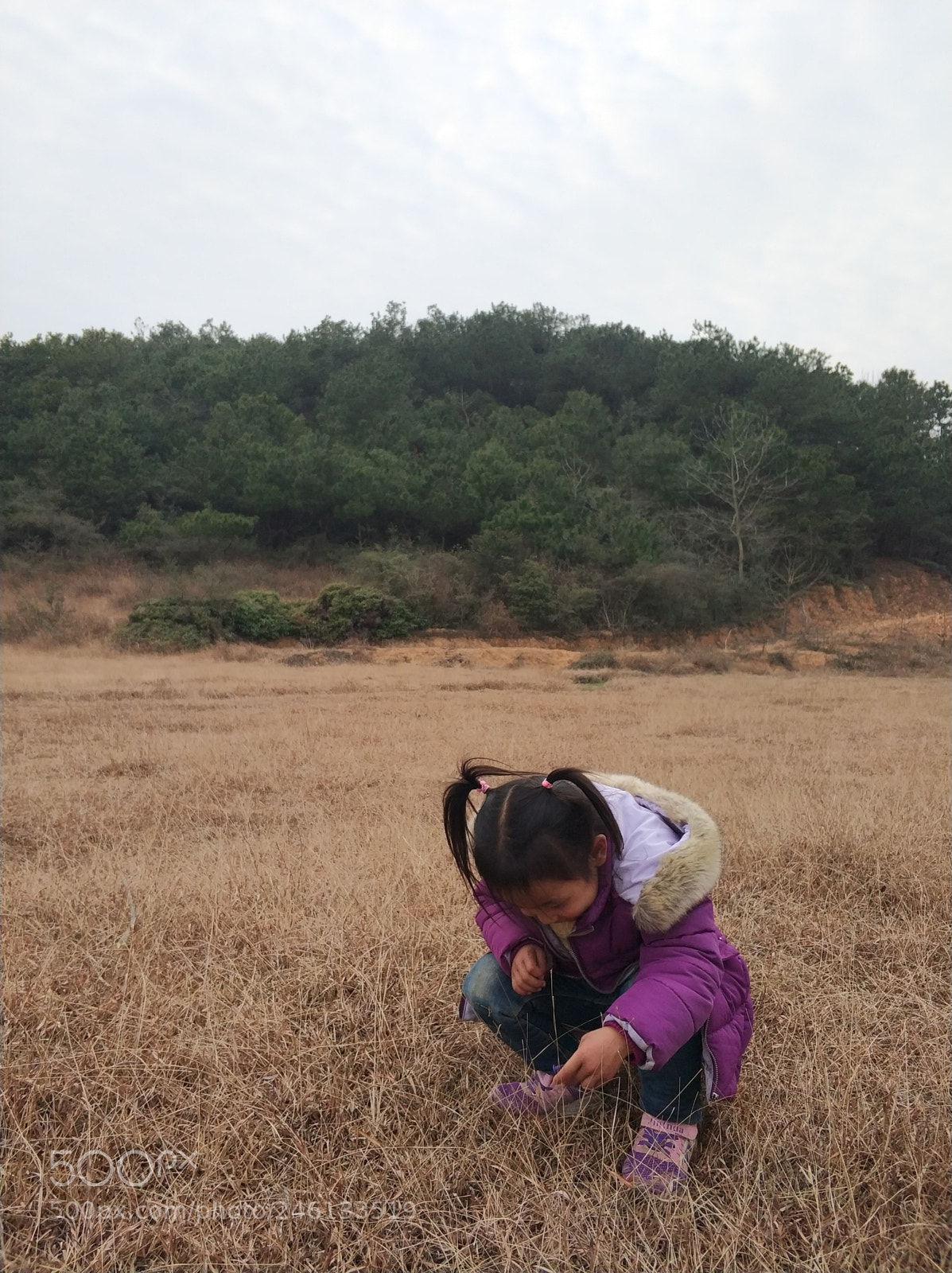 Xiaomi MI6 sample photo. The girl photography