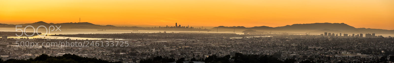 Pentax K-3 II sample photo. The san francisco bay photography