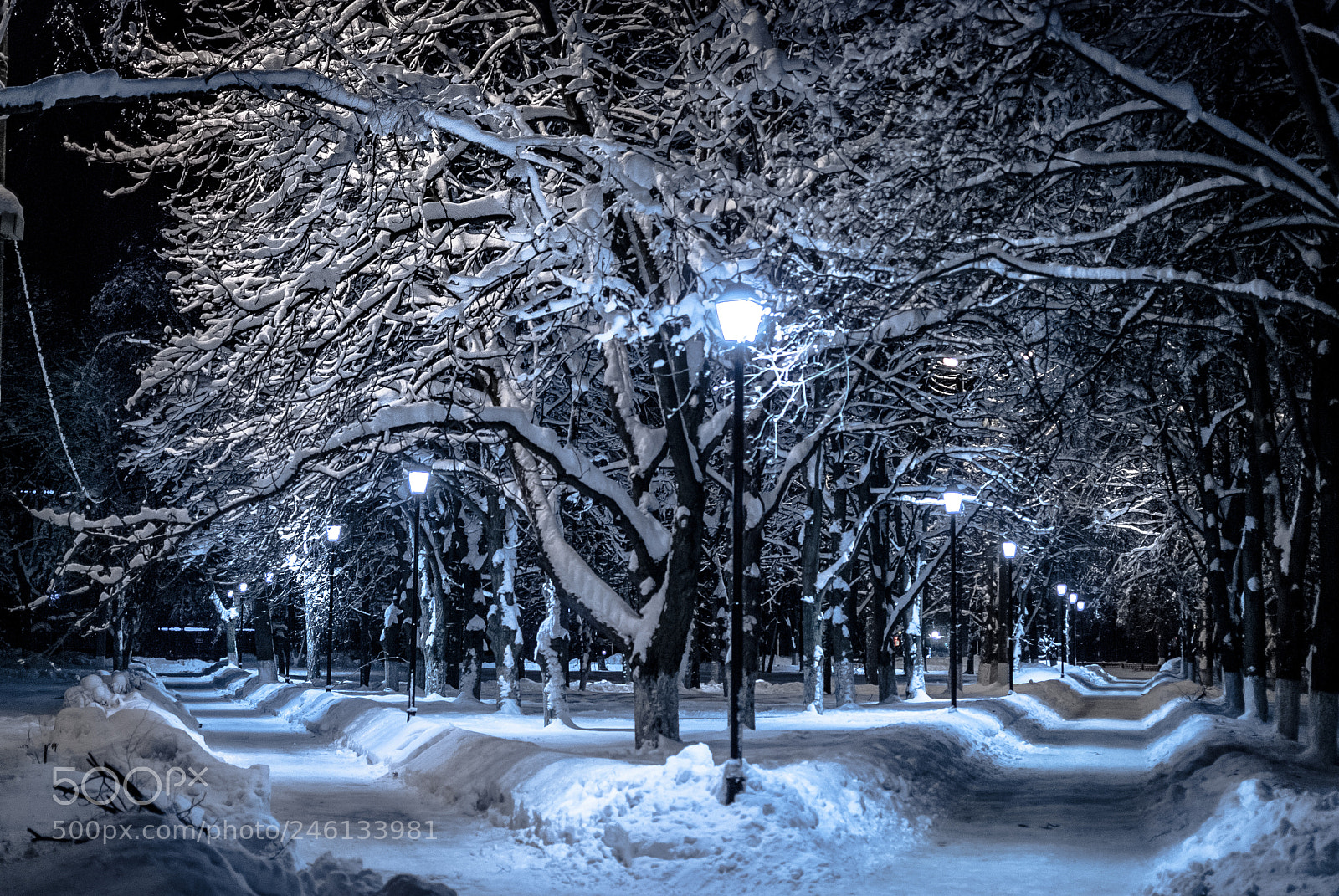 Nikon D80 sample photo. Winter photography