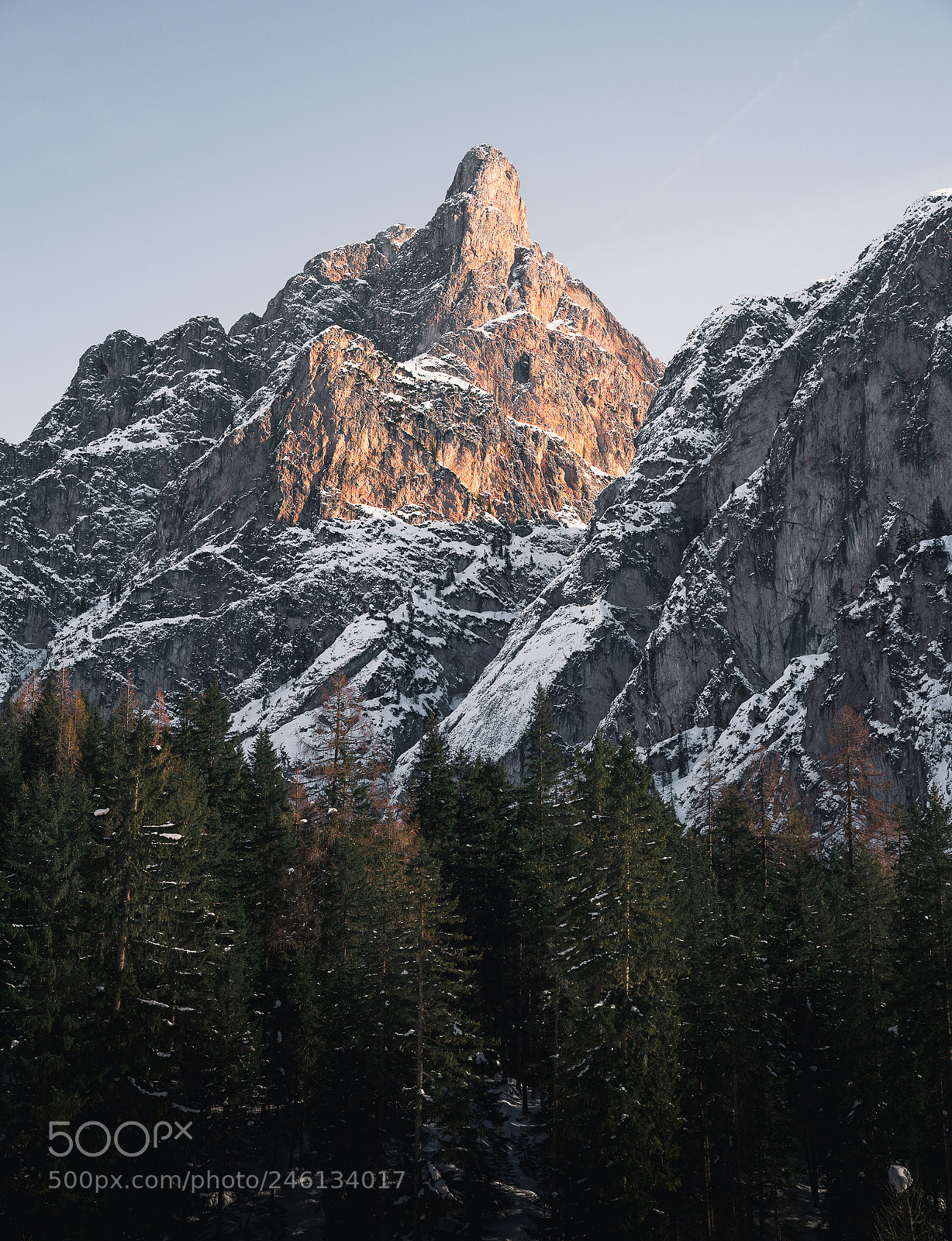 Sony a7R III sample photo. Dsc photography