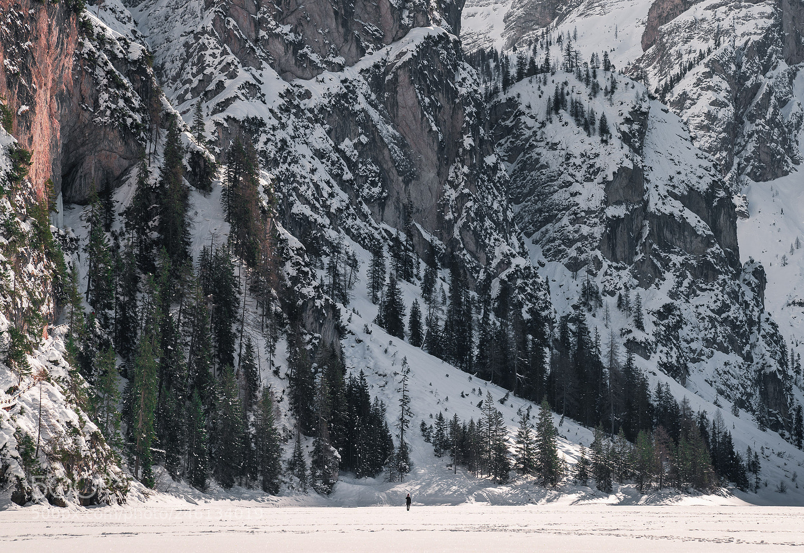 Sony a7R III sample photo. Dsc01512-2.jpg photography
