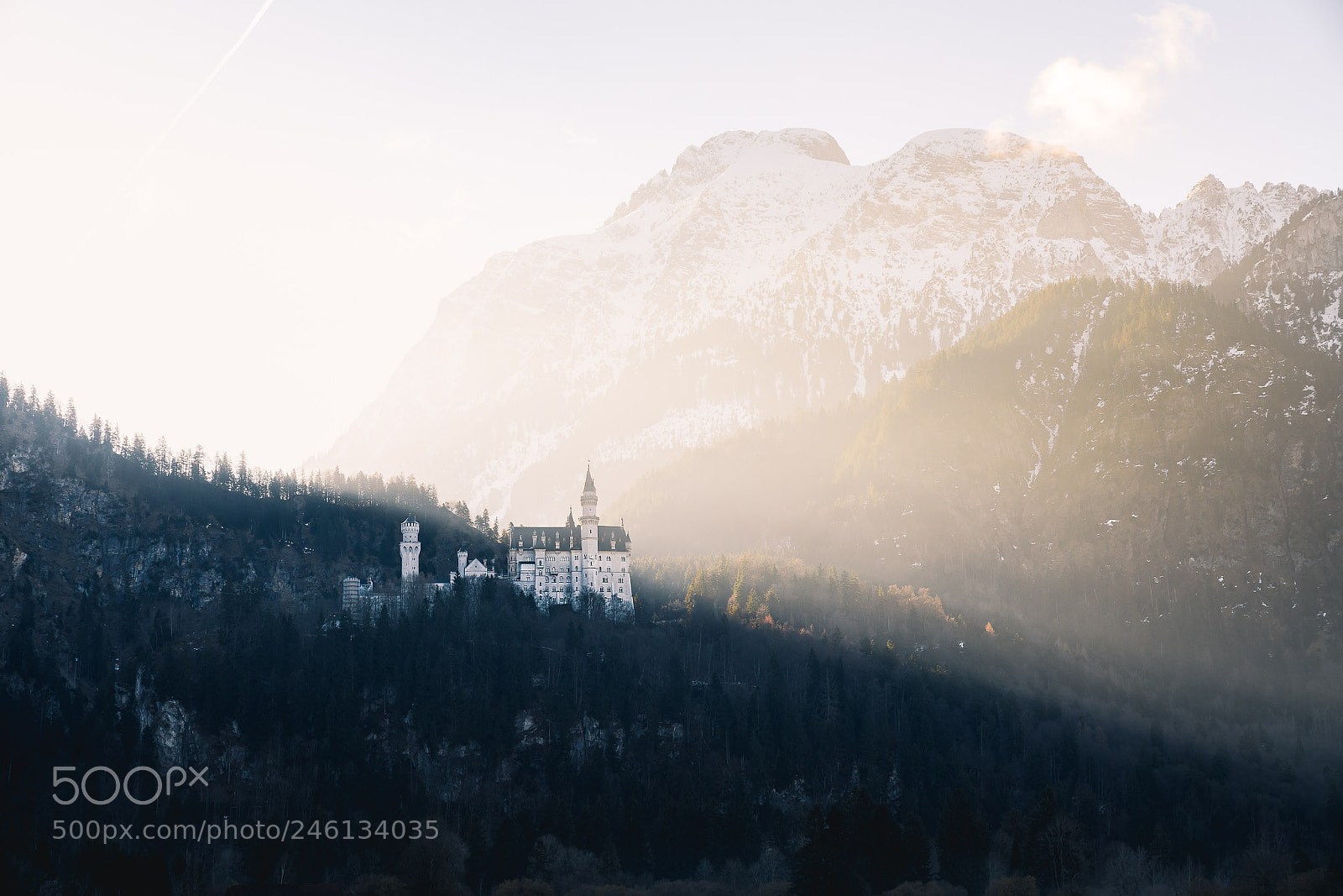 Sony a7R III sample photo. Dsc photography
