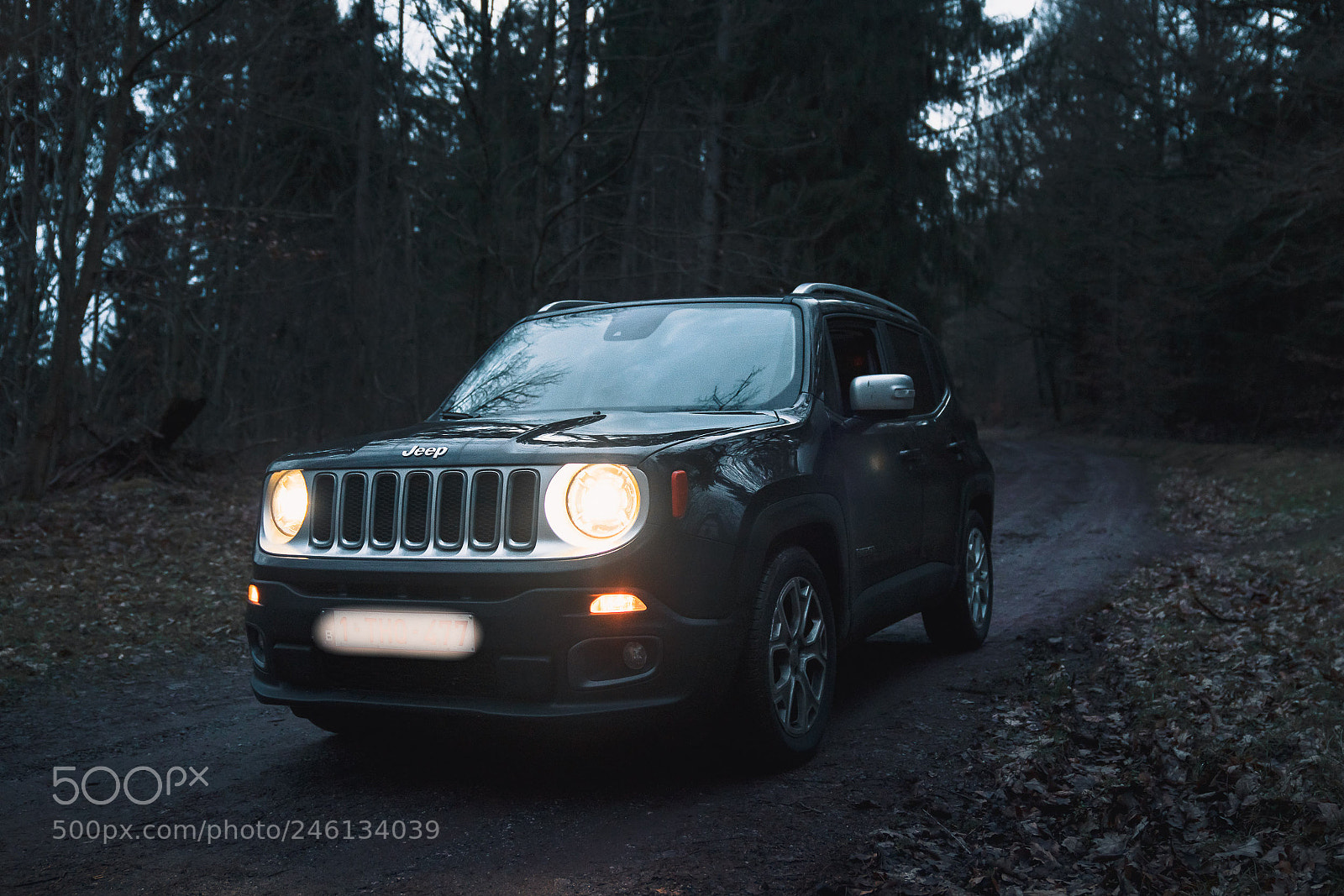 Sony a7R III sample photo. Dsc photography