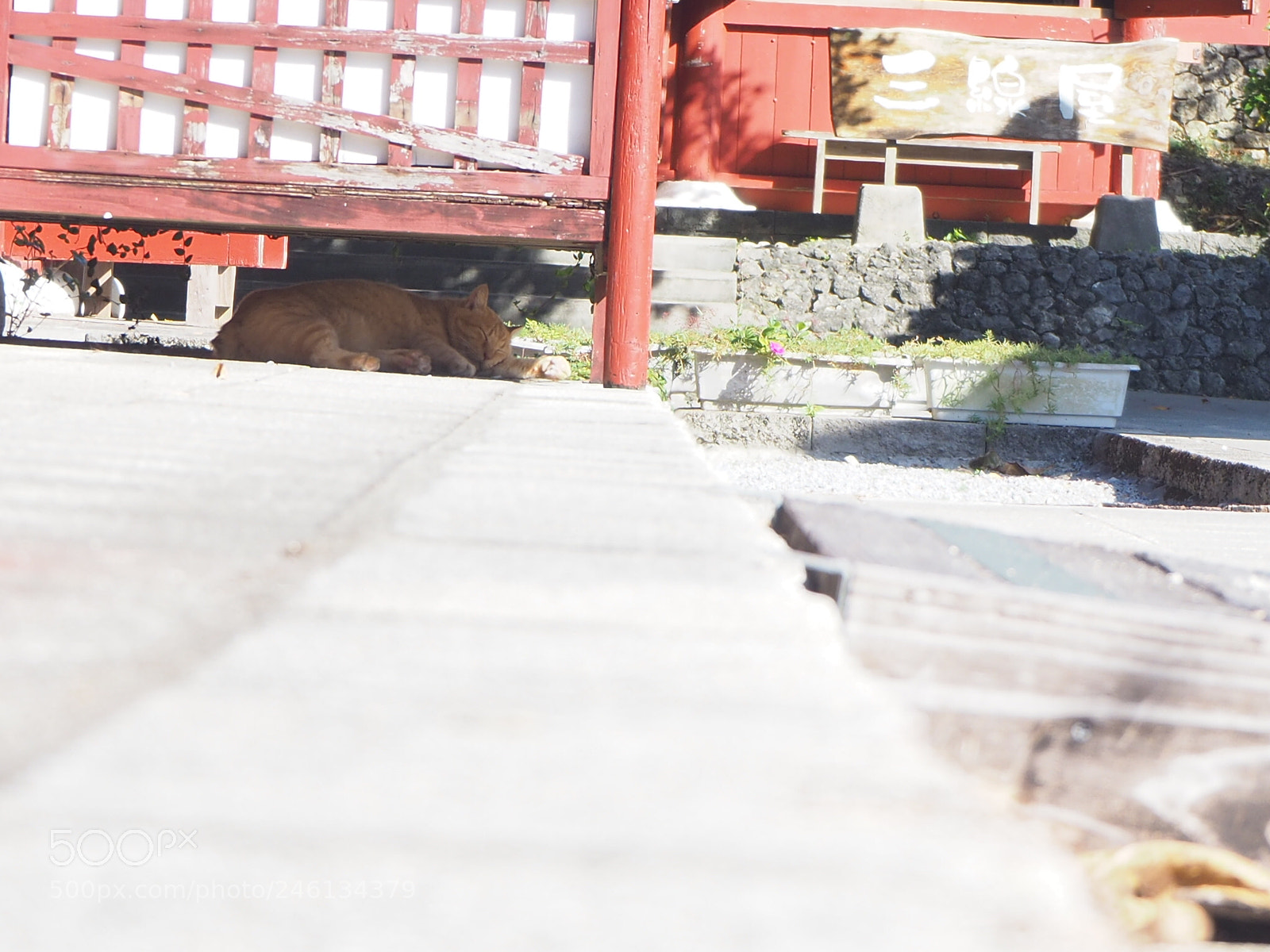 Olympus OM-D E-M10 II sample photo. I m having a photography