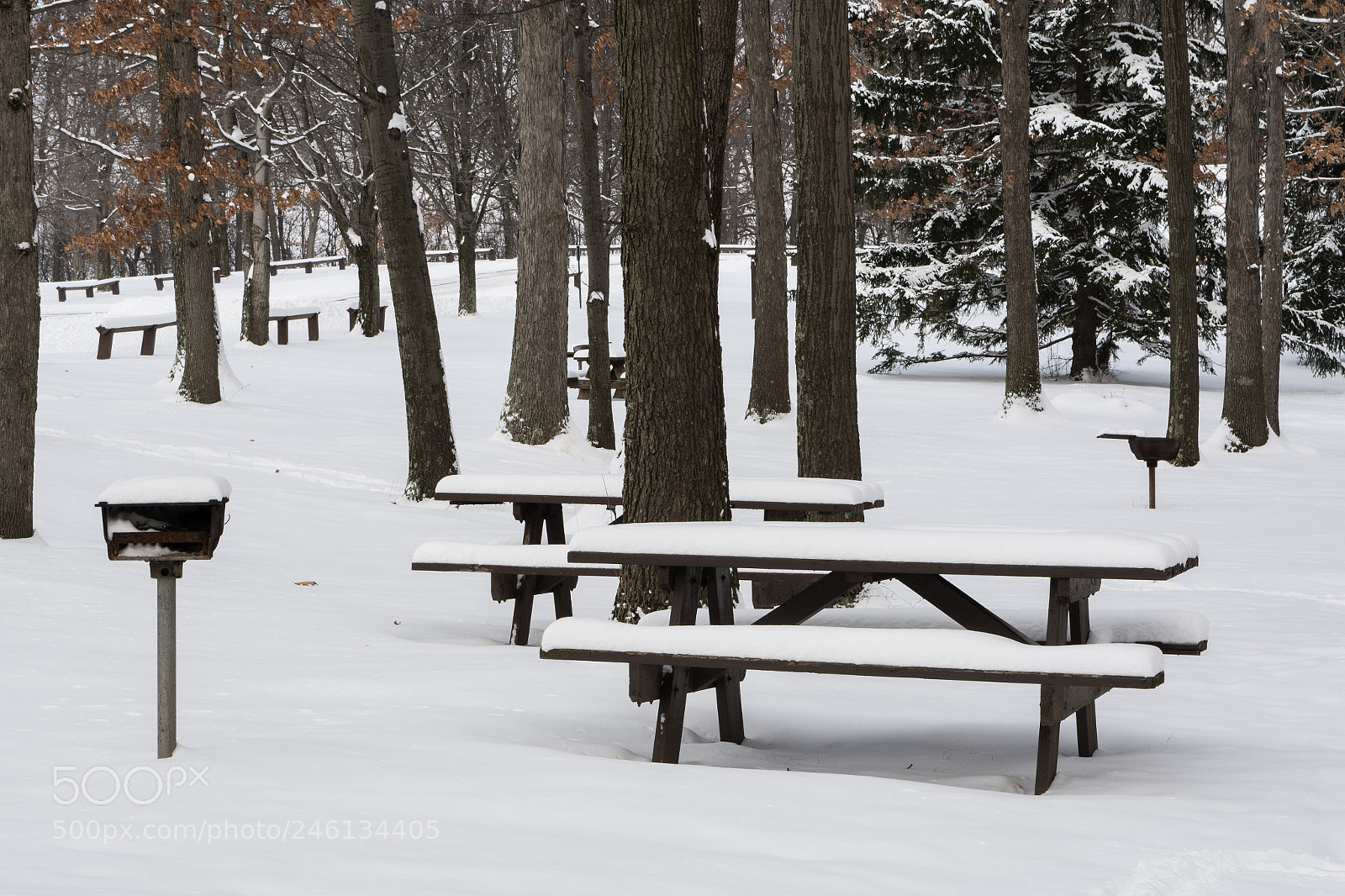 Nikon D7100 sample photo. Park tables in winter photography