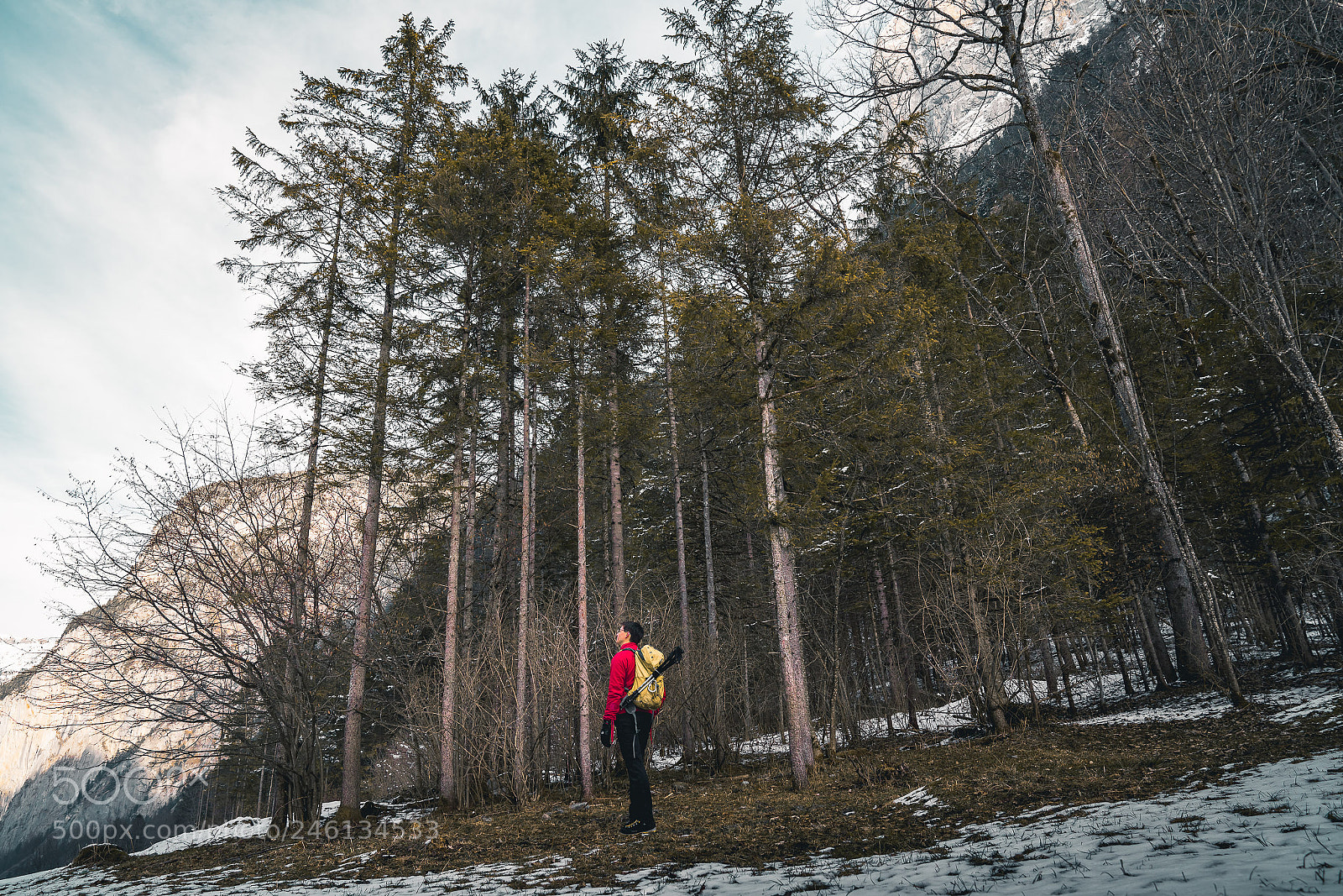 Sony a7R III sample photo. Dsc photography