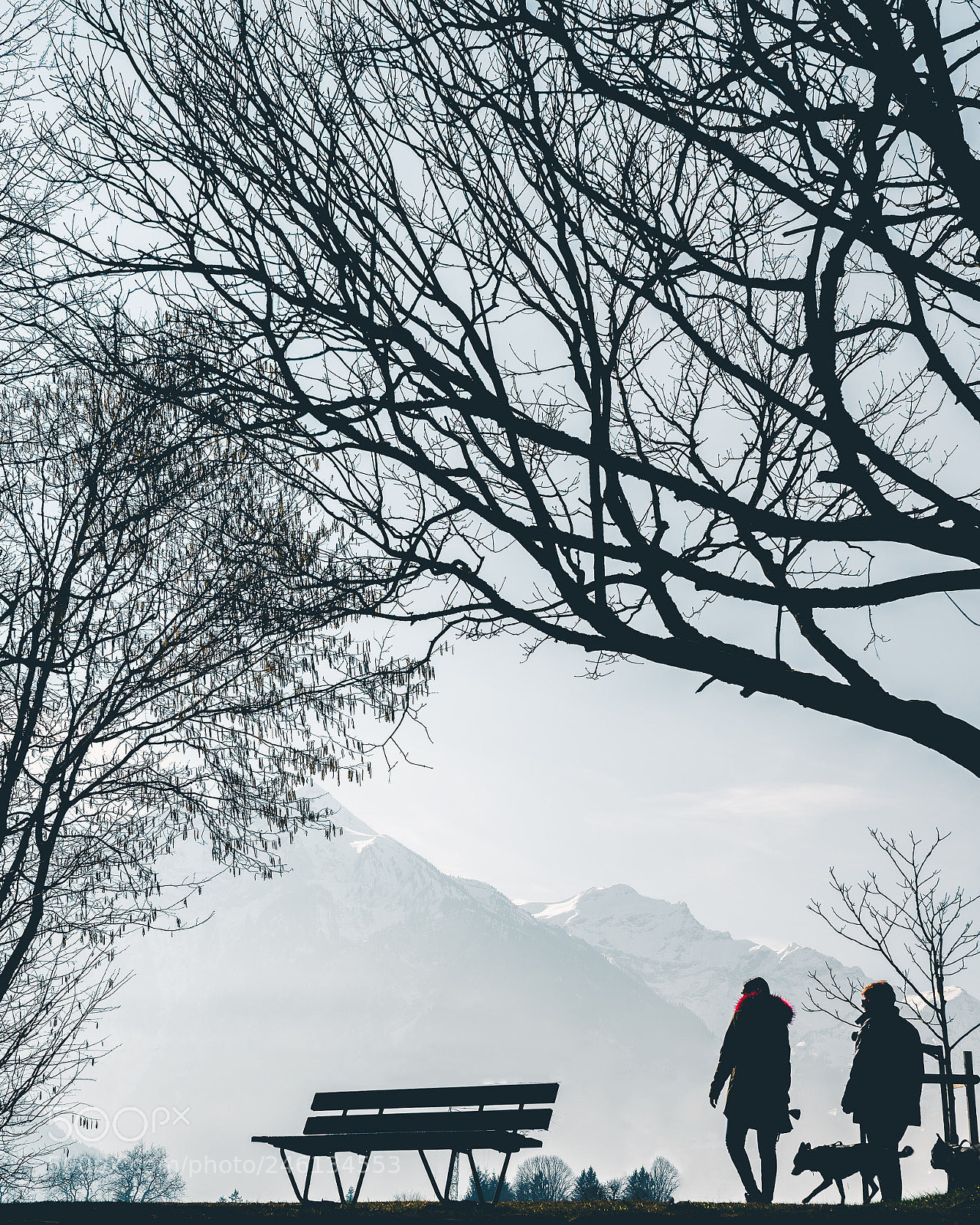Sony a7R III sample photo. Dsc05687-2.jpg photography