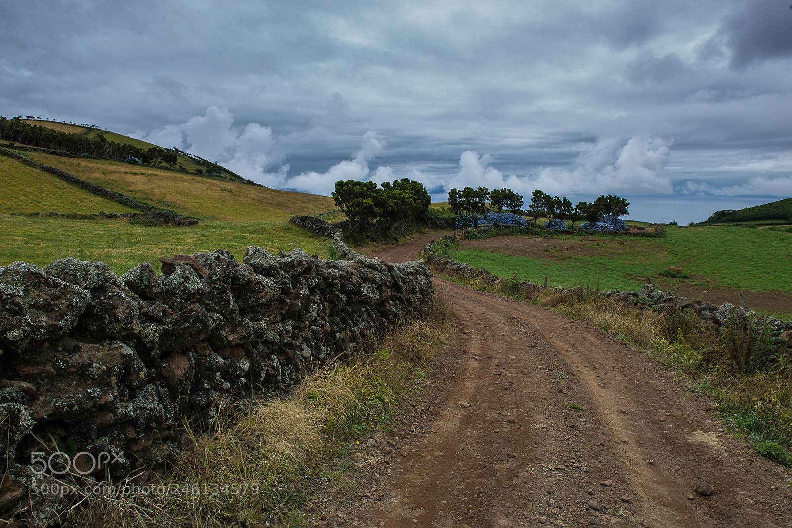 Nikon D610 sample photo. Caminho de s o photography