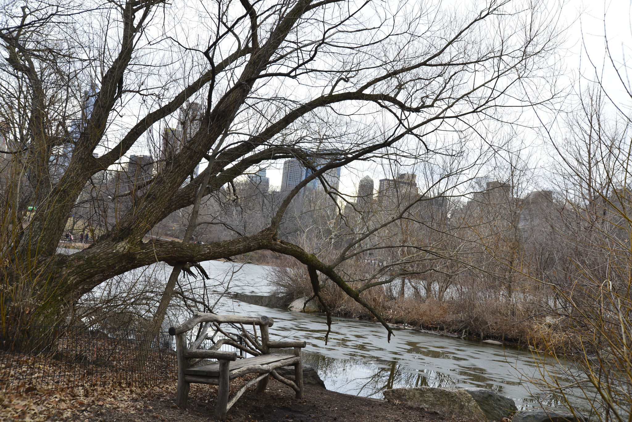 Nikon D600 sample photo. Central park in the evening photography