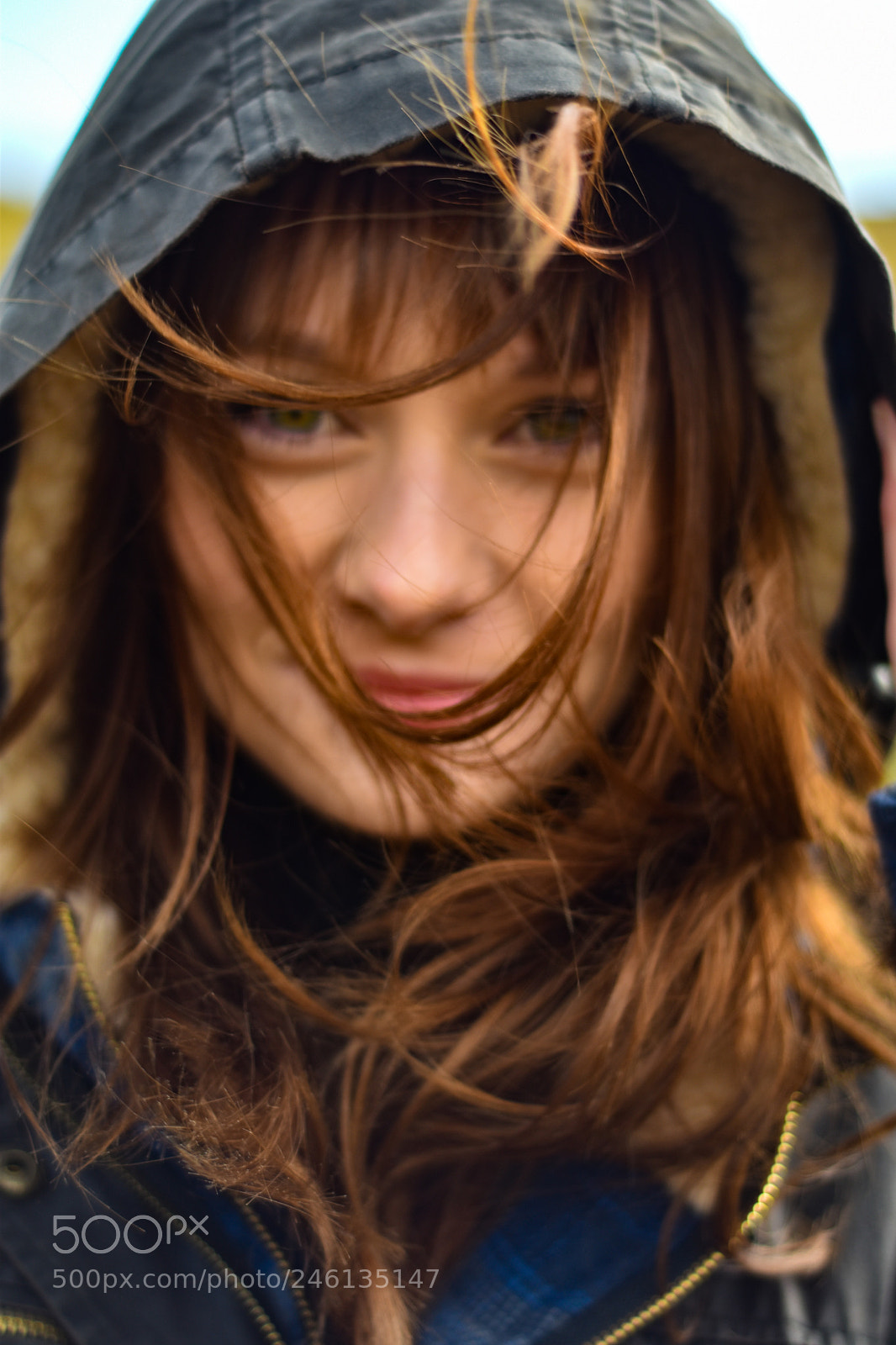 Nikon D5600 sample photo. Layers photography