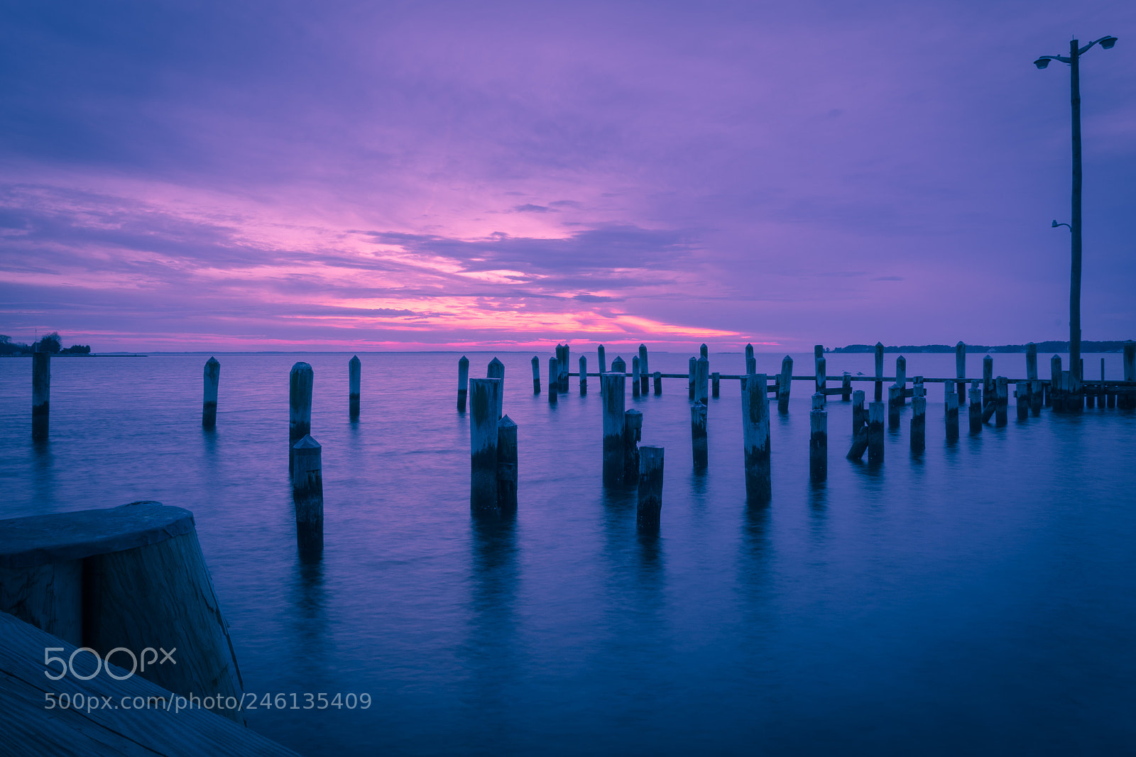 Sony a7R III sample photo. Magenta photography