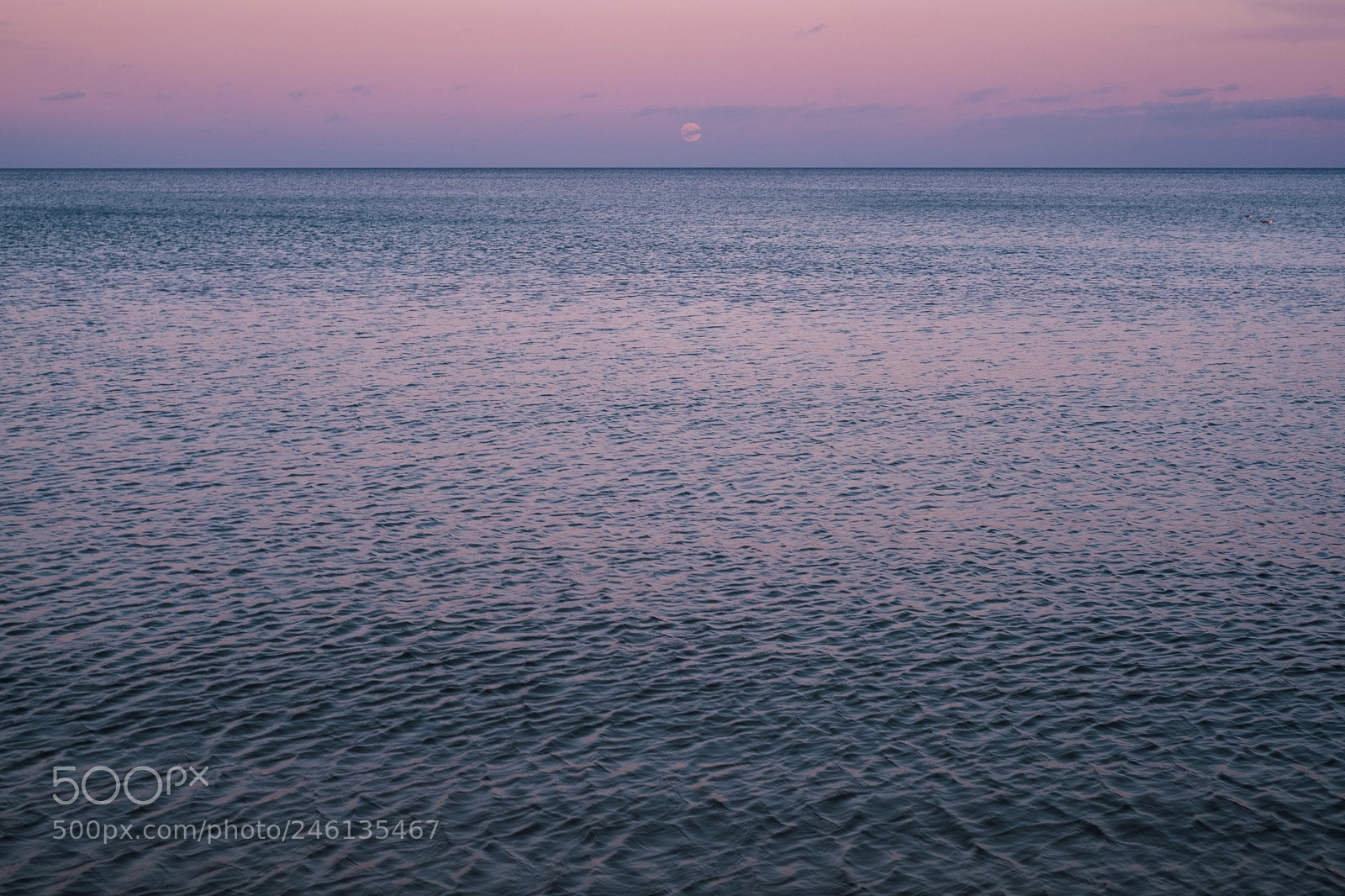 Fujifilm X-Pro2 sample photo. The big moon photography