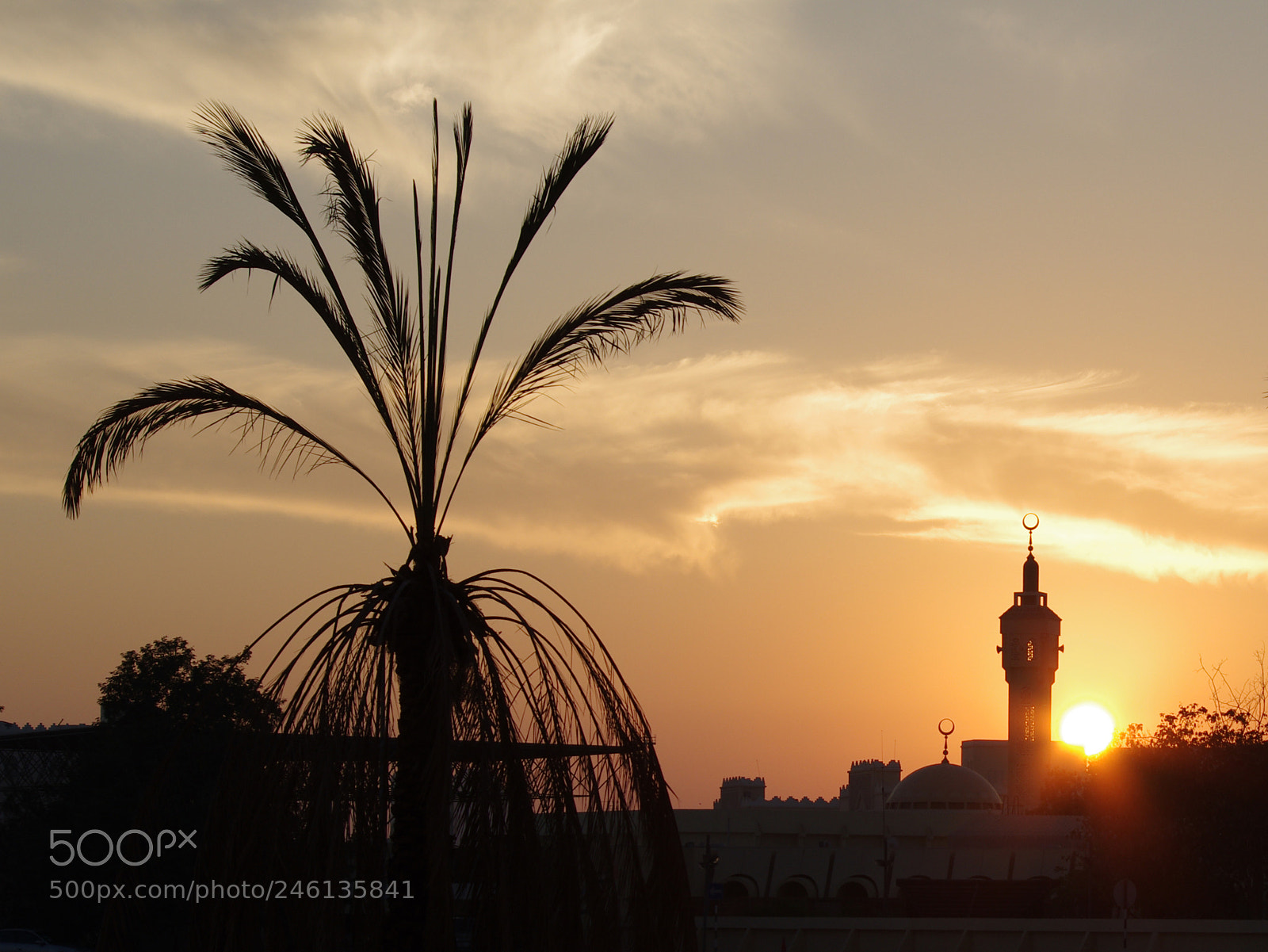 Pentax K-5 sample photo. Untitled photography