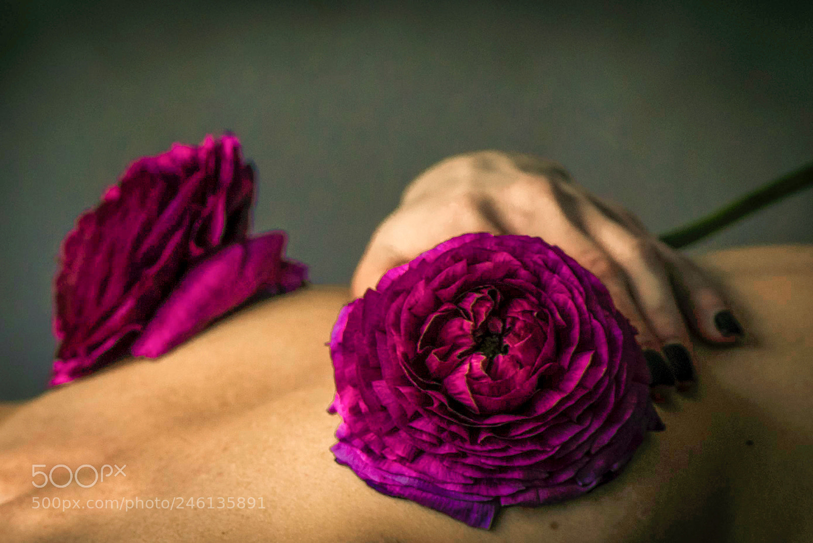 Sony a7R sample photo. Flowers and skin photography