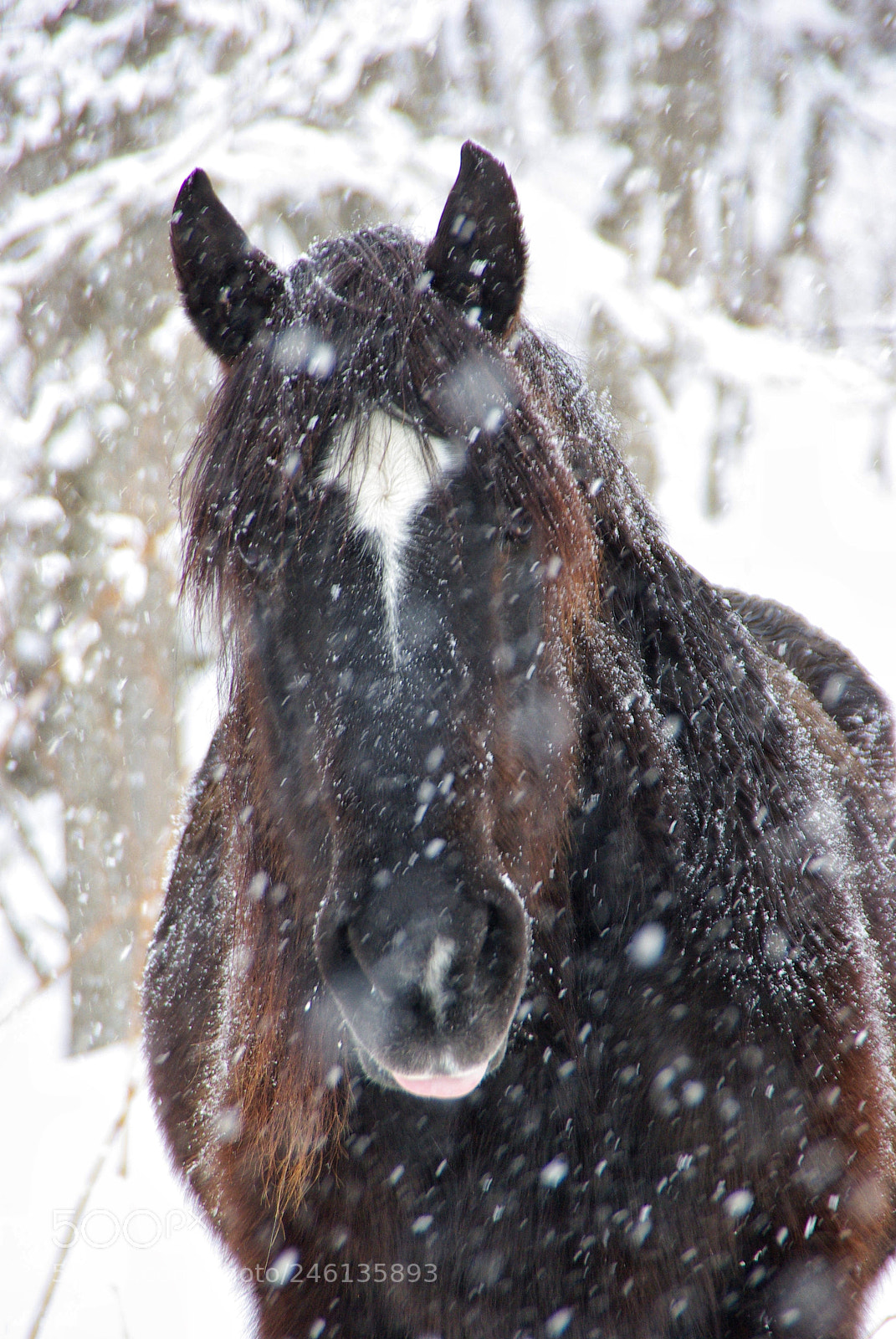 Pentax K10D sample photo. Smile photography