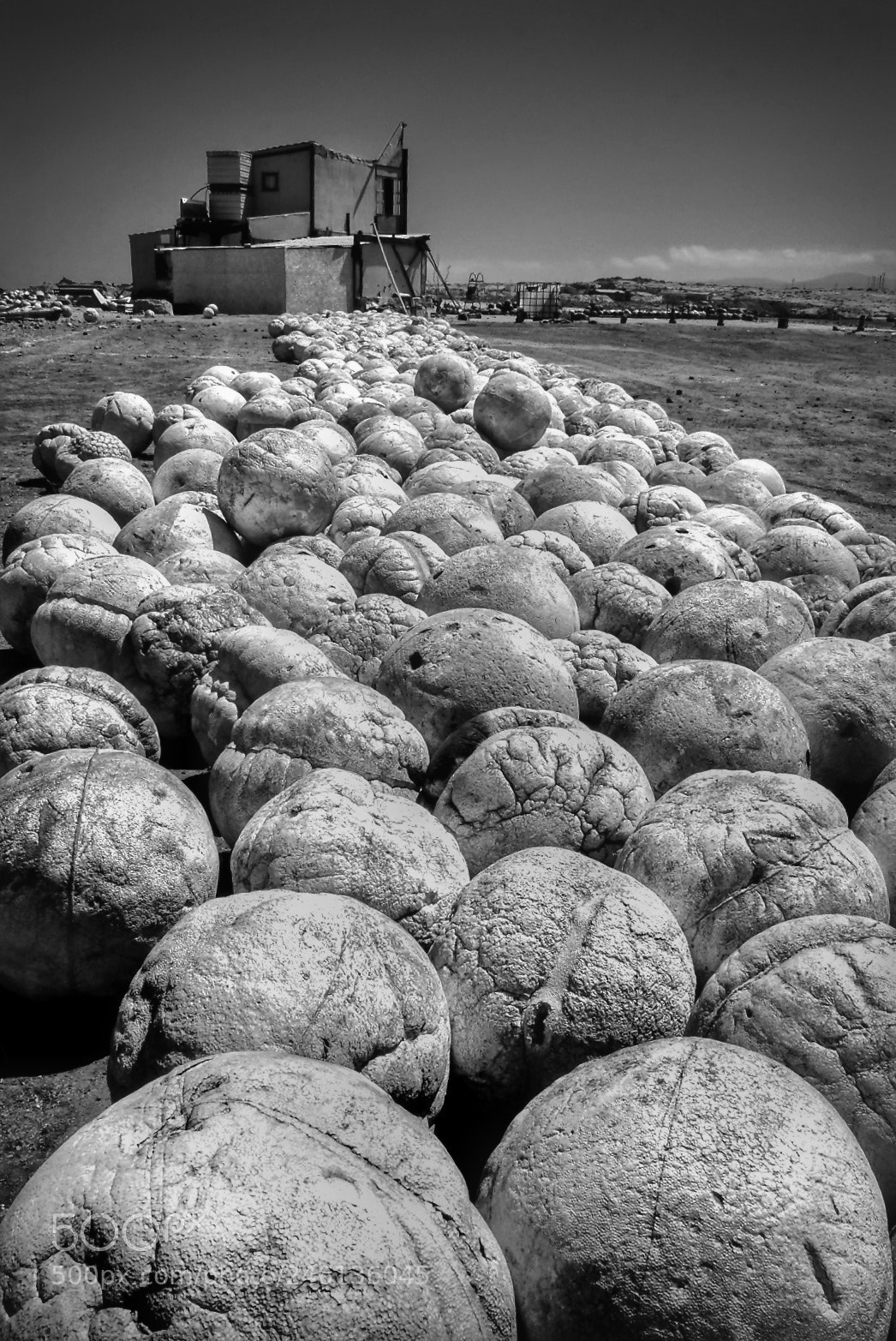 Fujifilm X-T1 sample photo. Campo de bollas photography
