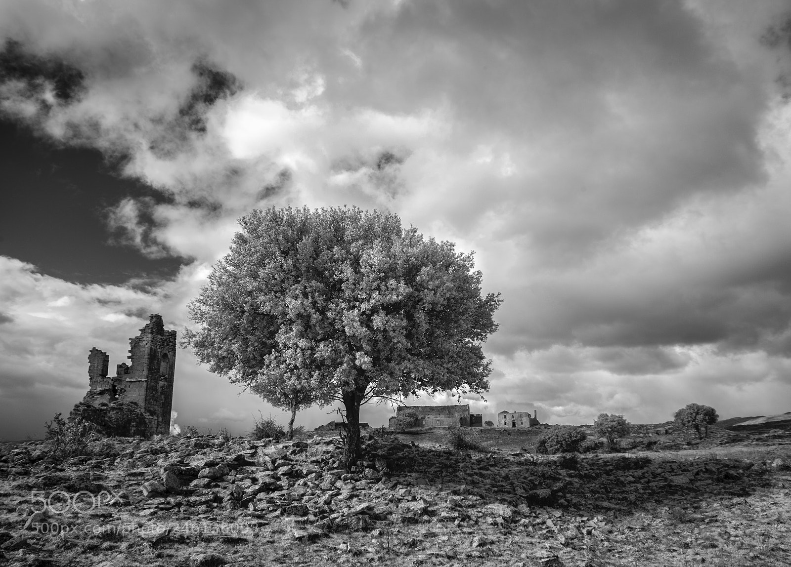 Canon EOS 5D sample photo. Baigorri infrared b w photography