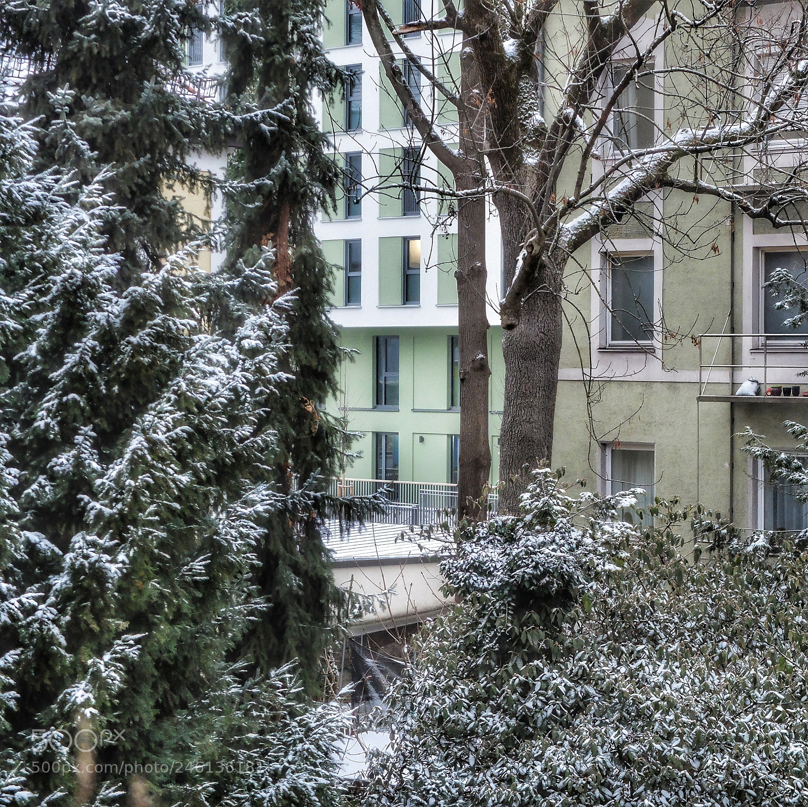 Fujifilm X20 sample photo. Untitled photography