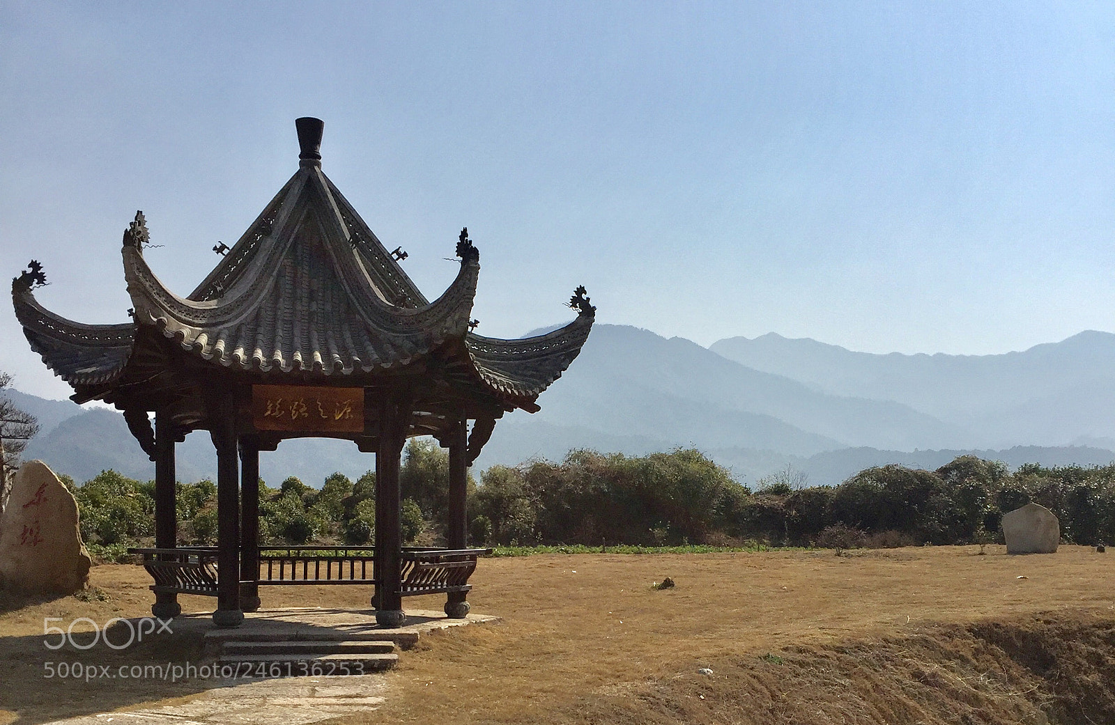 Apple iPhone 6 sample photo. The source of silk photography
