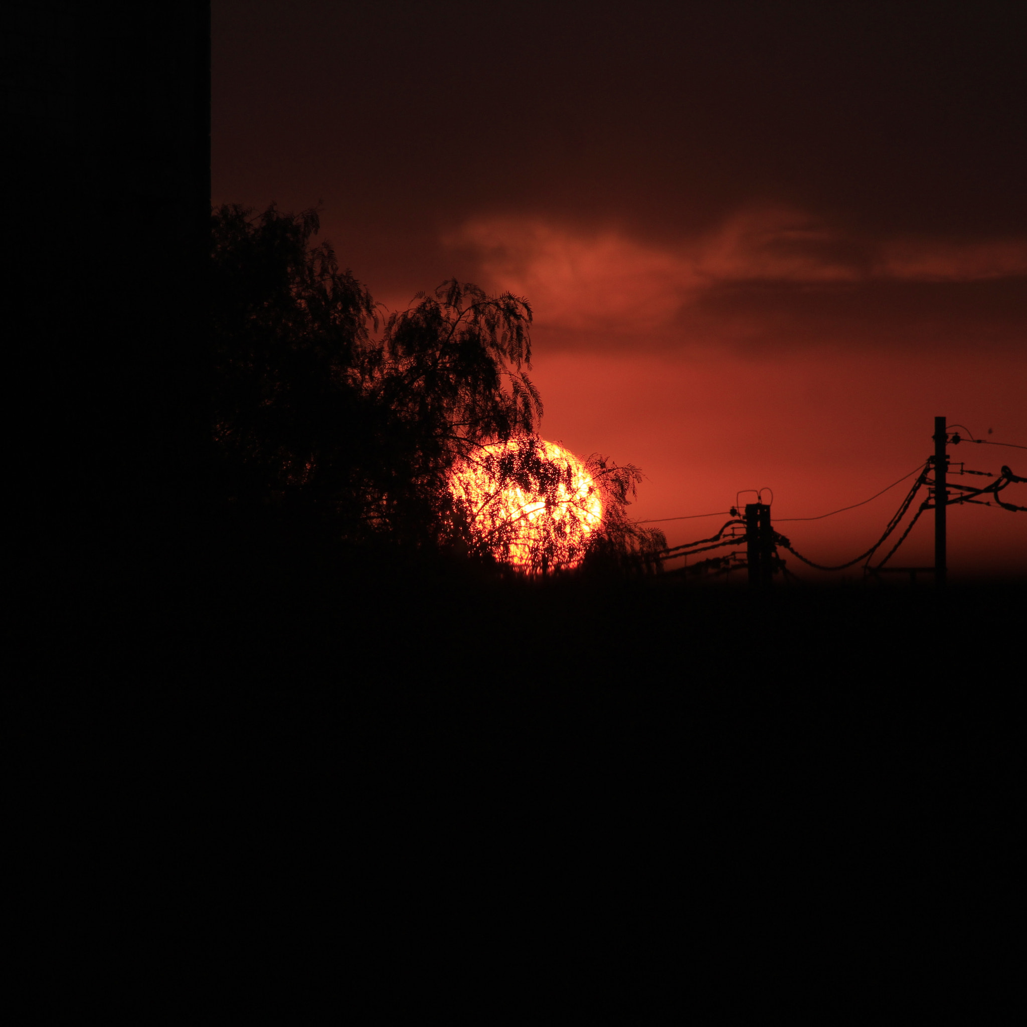 Canon EF-S 55-250mm F4-5.6 IS STM sample photo