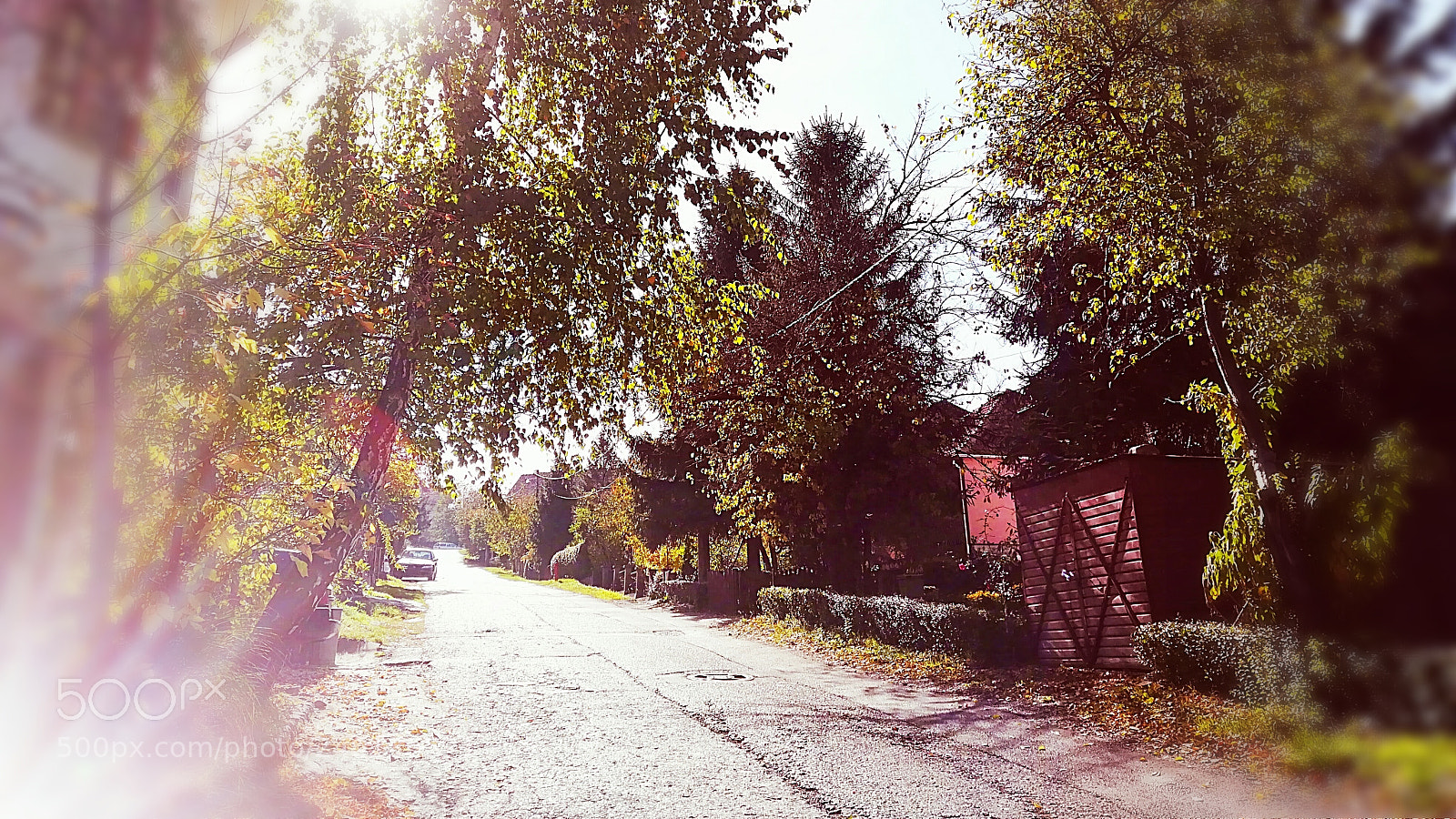 HUAWEI P10 lite sample photo. ChØtra photography
