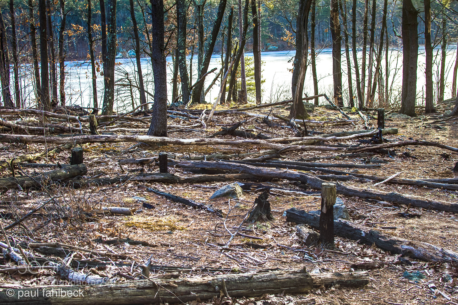 Nikon D7200 sample photo. Controlled burn photography