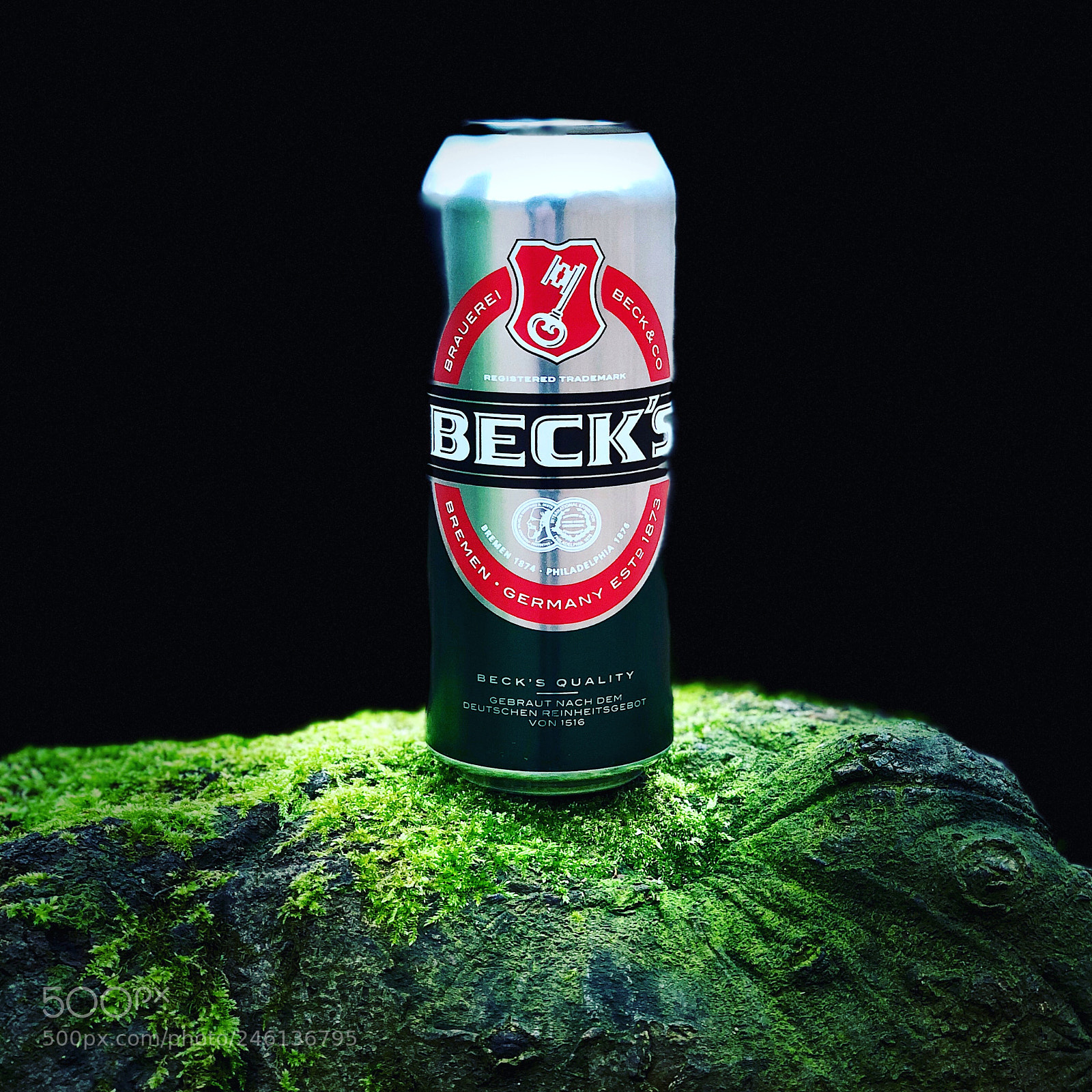 Apple iPhone X sample photo. Wald bier und ein photography